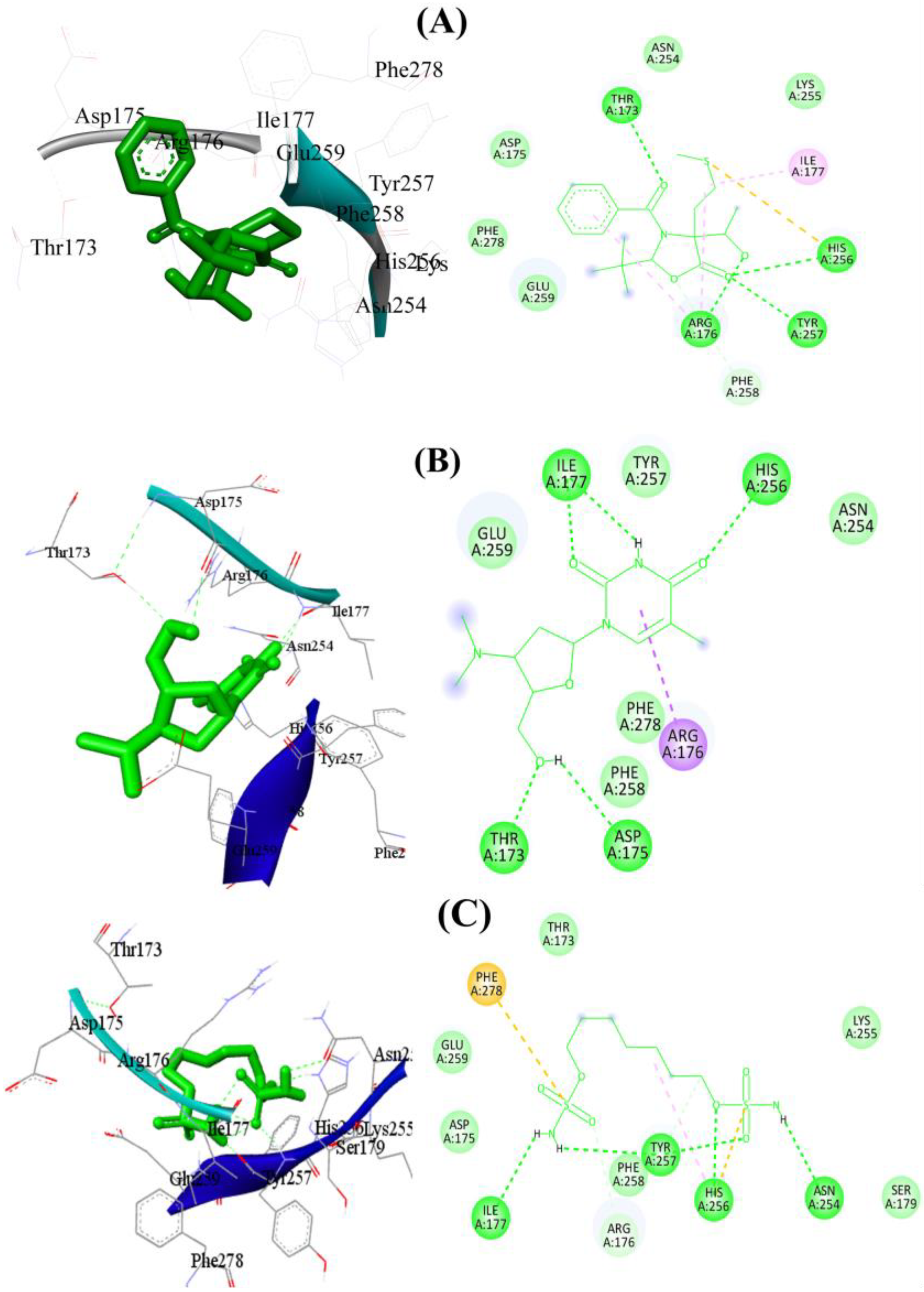 Processes 11 01497 g003