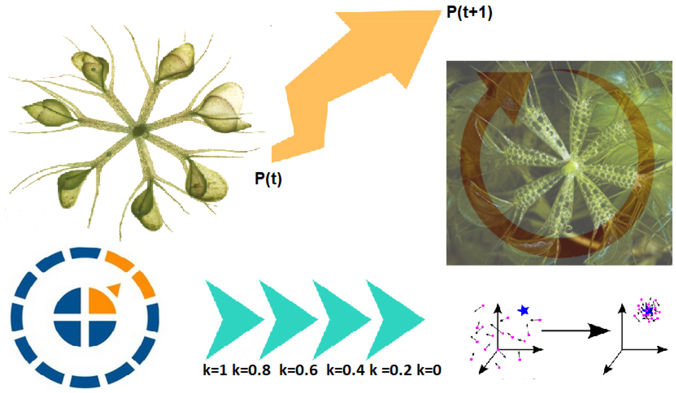 Waterwheel Plant Algorithm: A Novel Metaheuristic Optimization Method