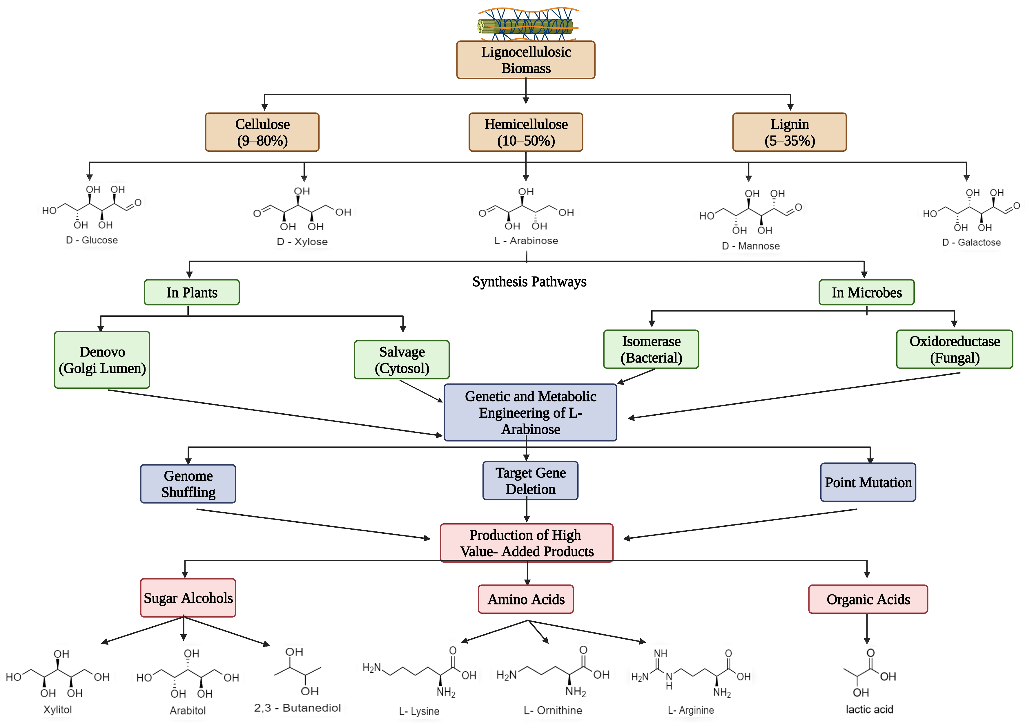 Arabinose Structure