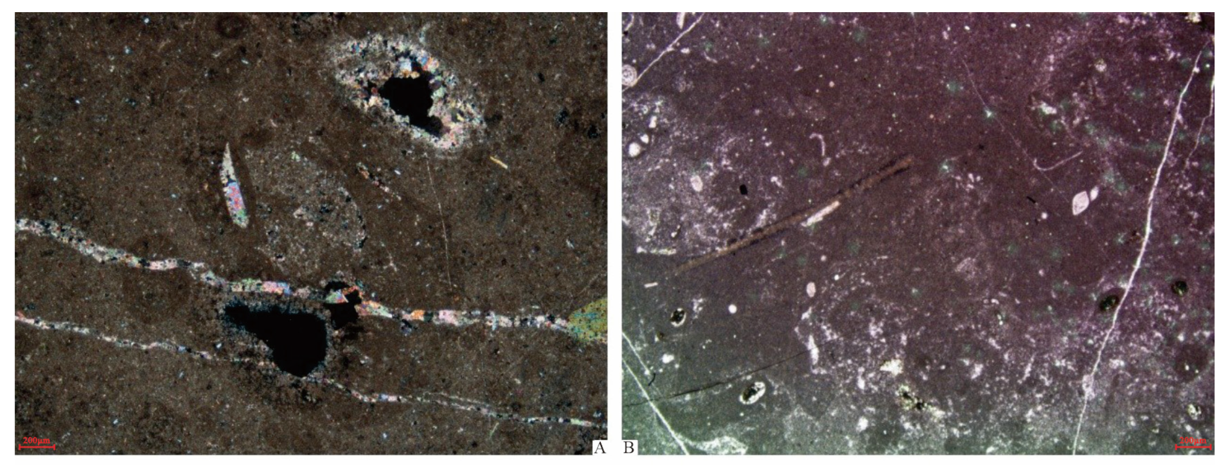 Processes 11 01569 g018 550