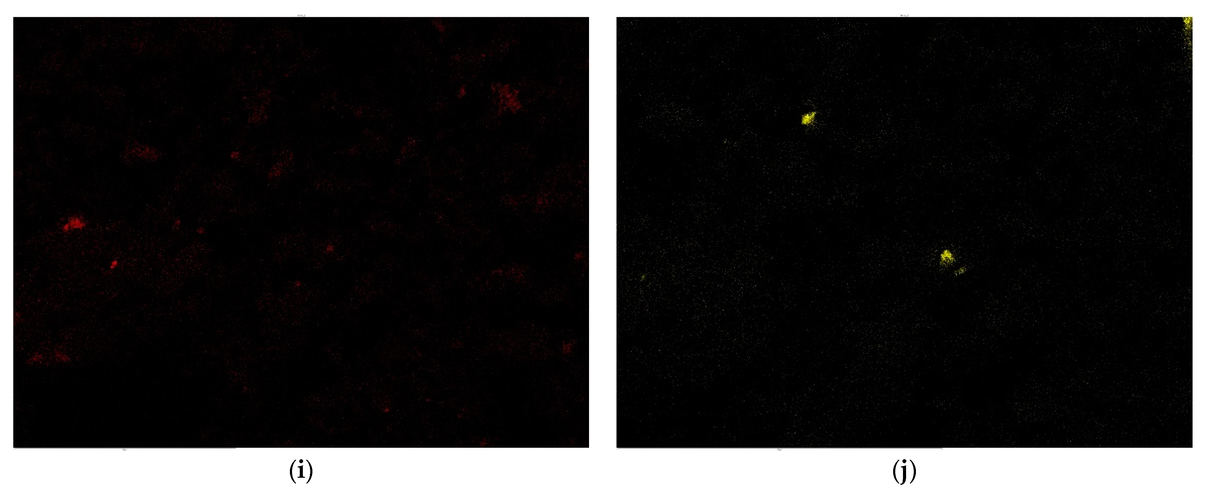 Processes 11 01642 g007c