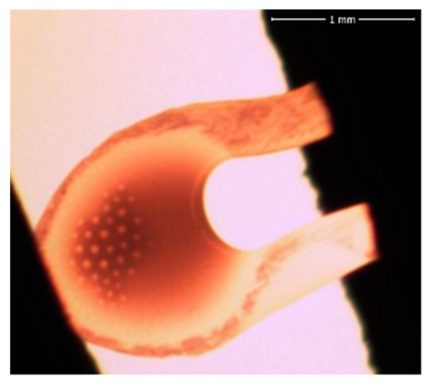 Processes 11 01646 g015 Processes 11 01646 g015