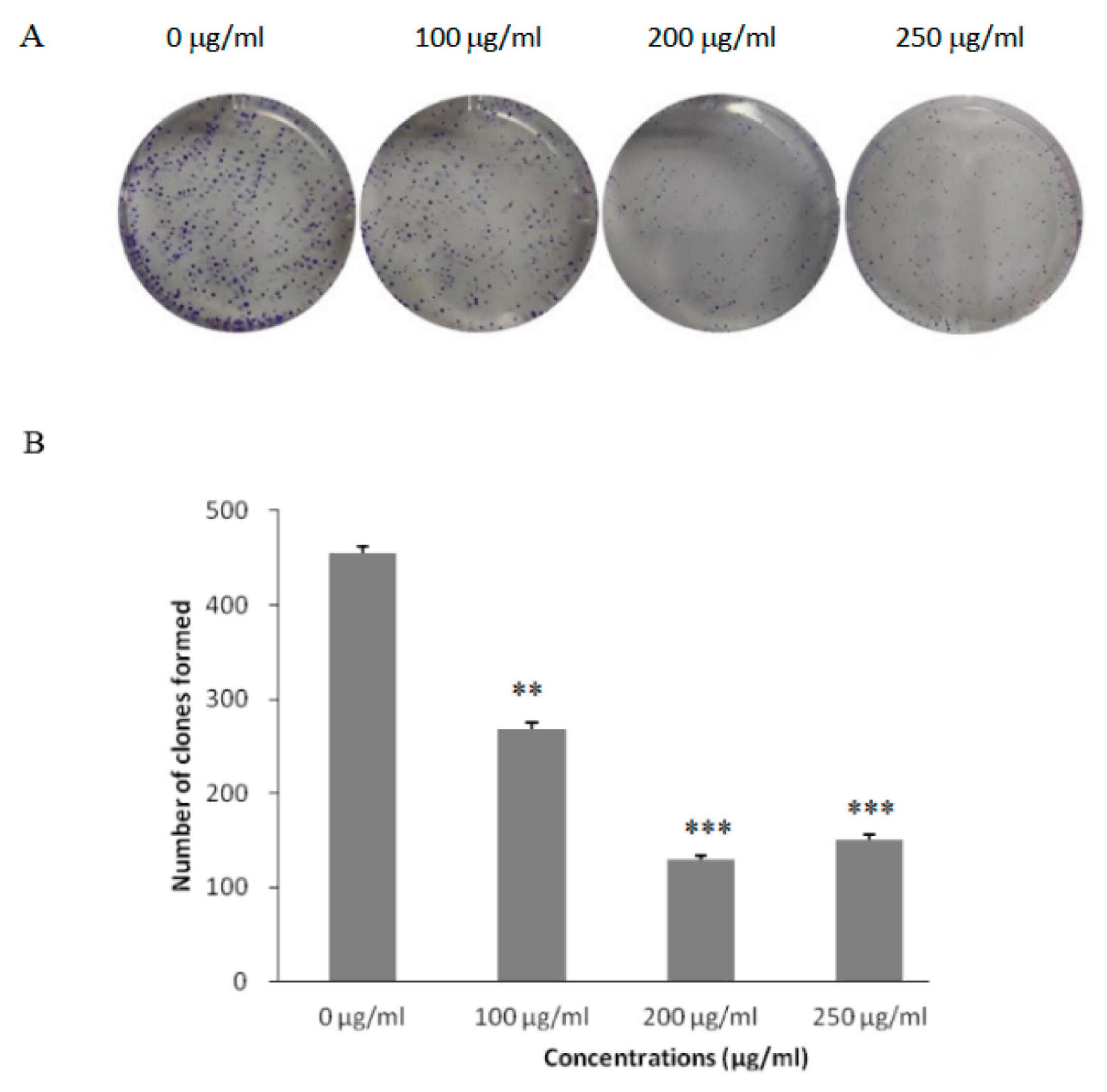 Processes 11 01652 g004 Processes 11 01652 g004
