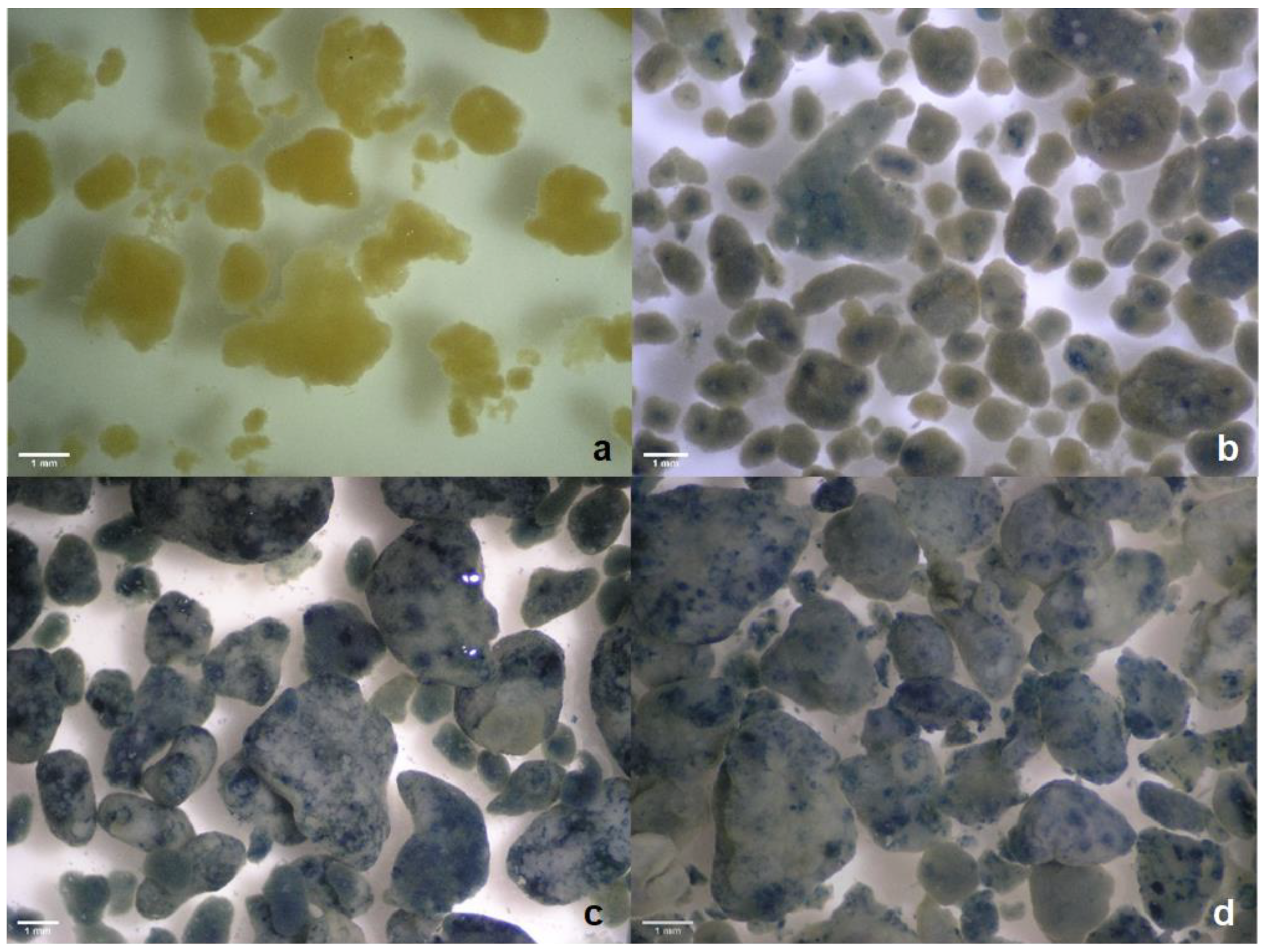 Processes 11 01654 g004 Processes 11 01654 g004