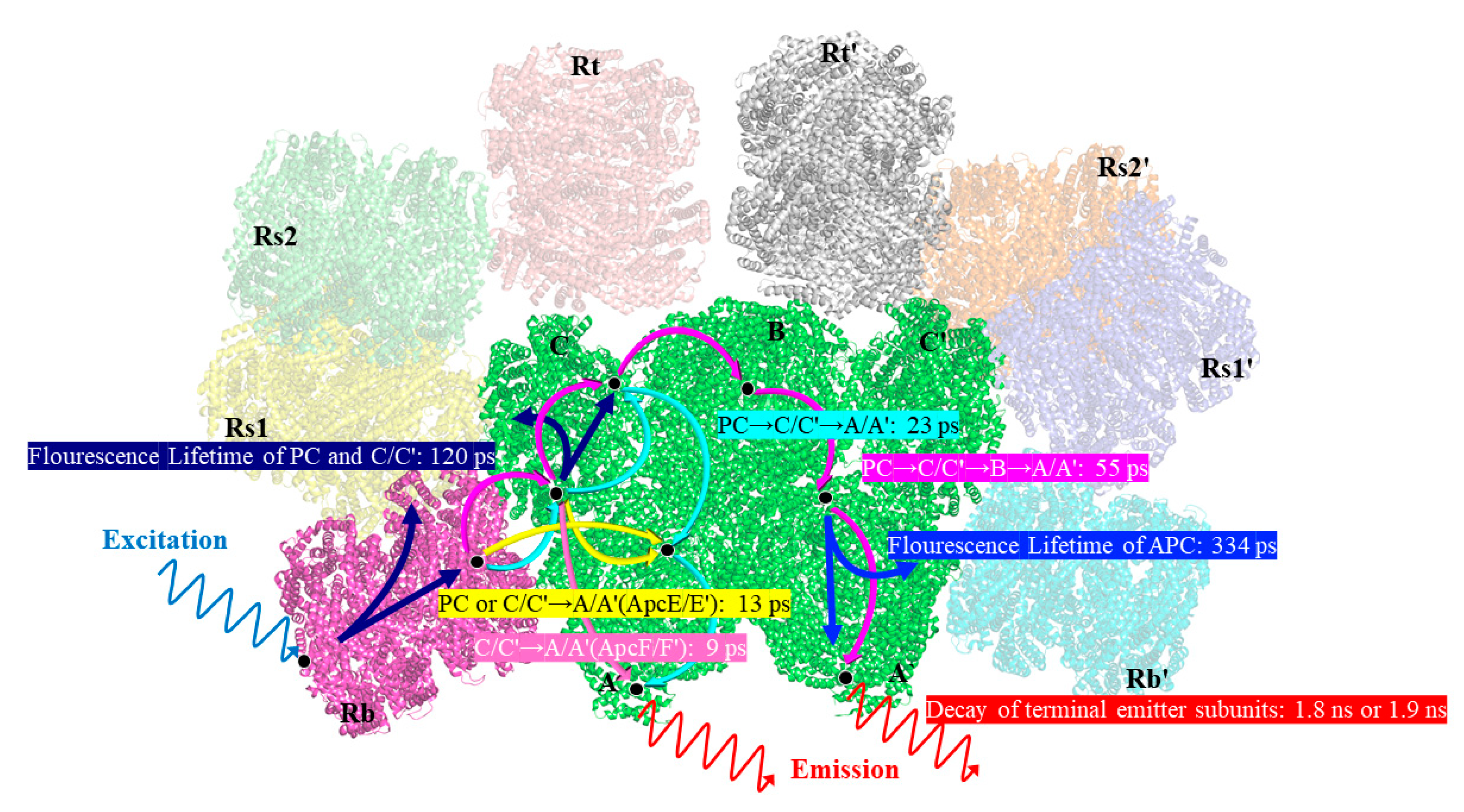 Processes 11 01656 g005