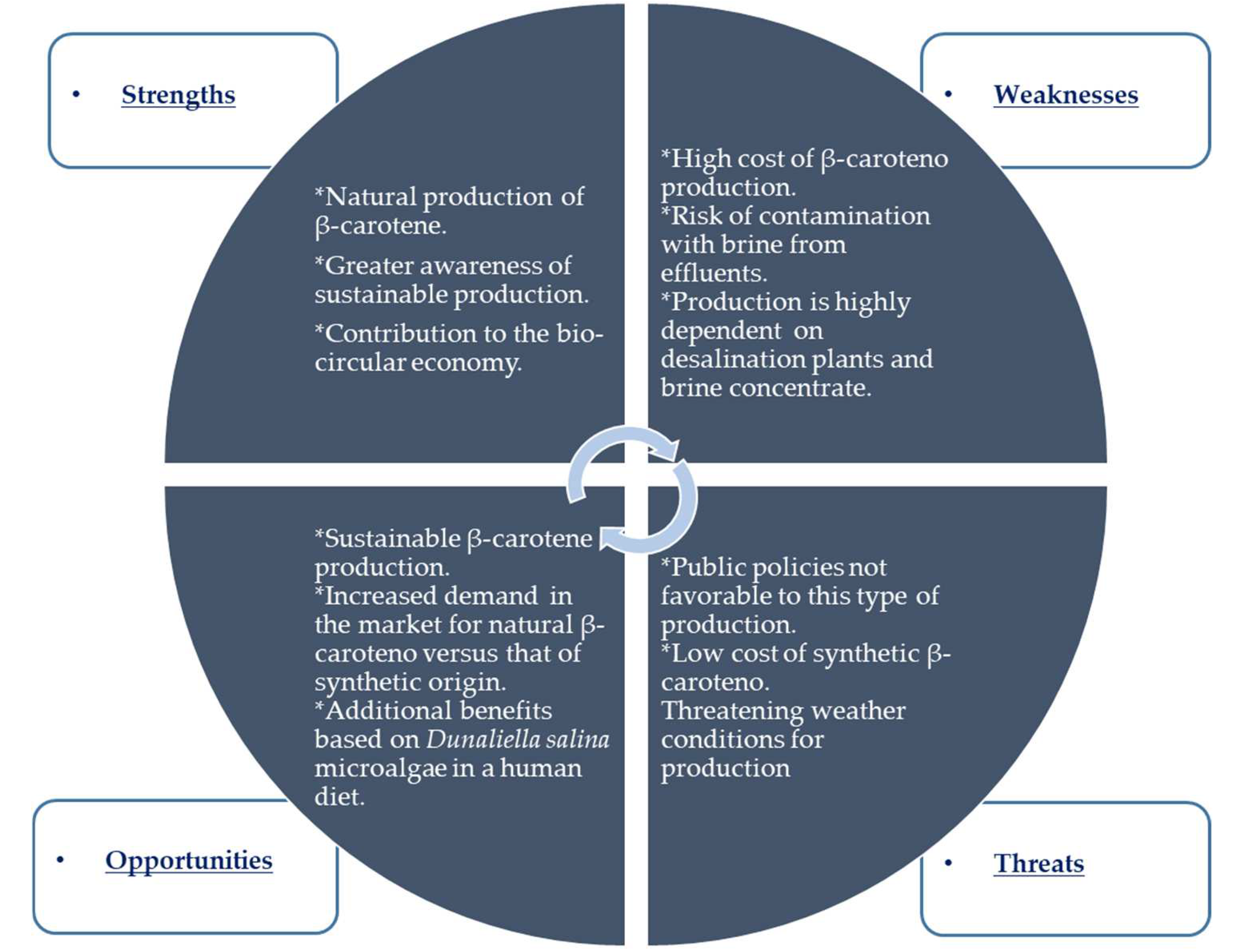 Processes 11 01668 g003