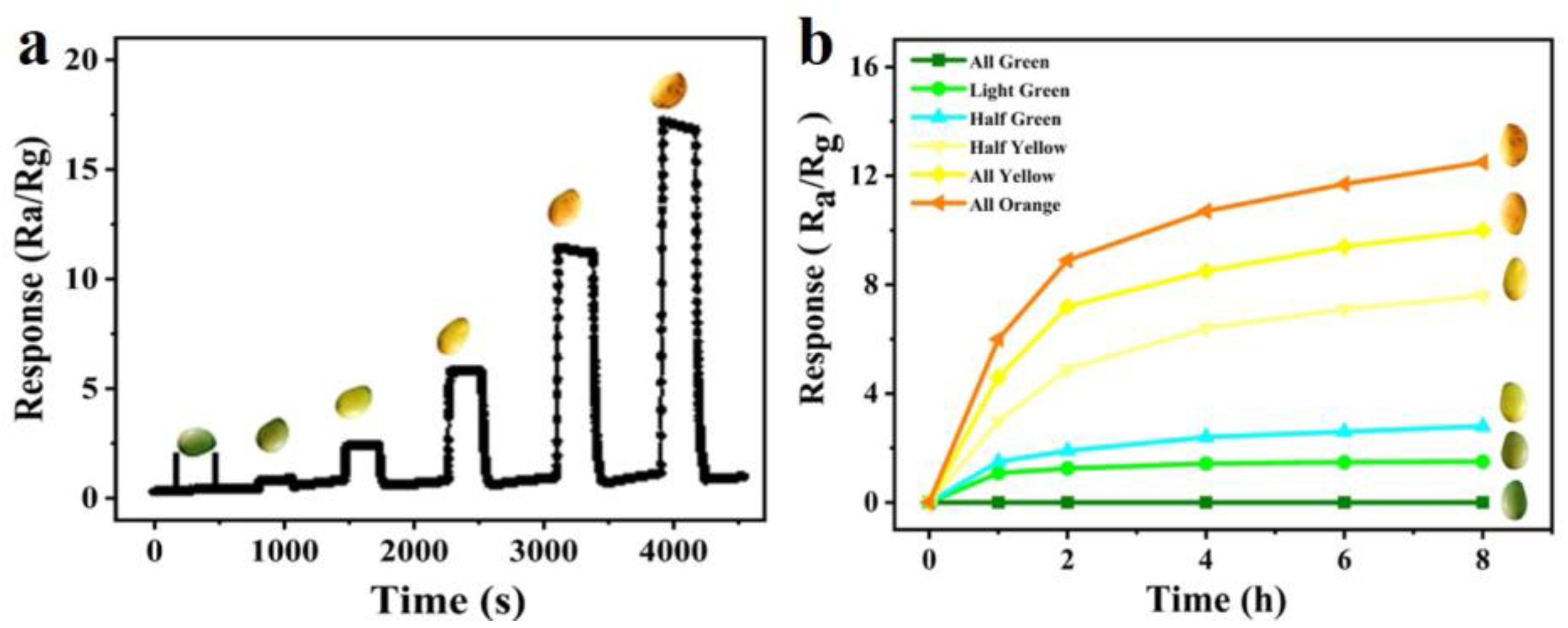 Processes 11 01686 g013