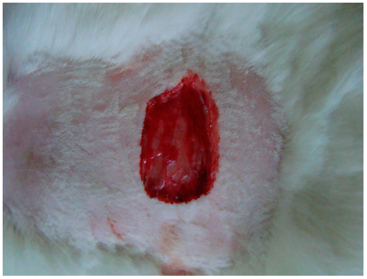 Processes 11 01692 i001