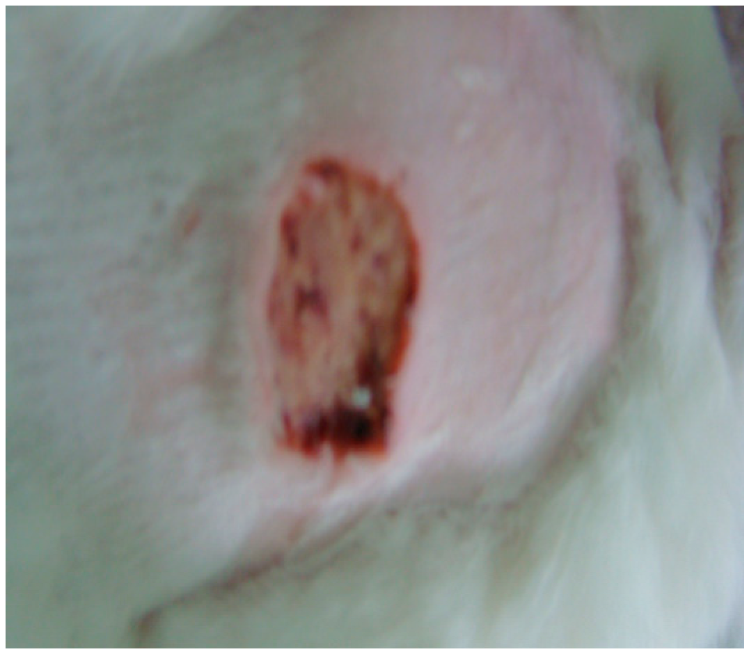 Processes 11 01692 i003