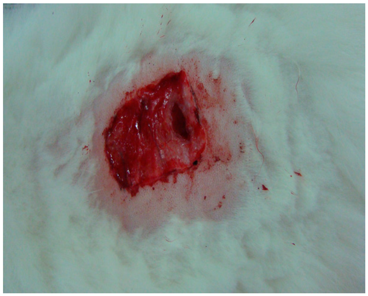 Processes 11 01692 i006