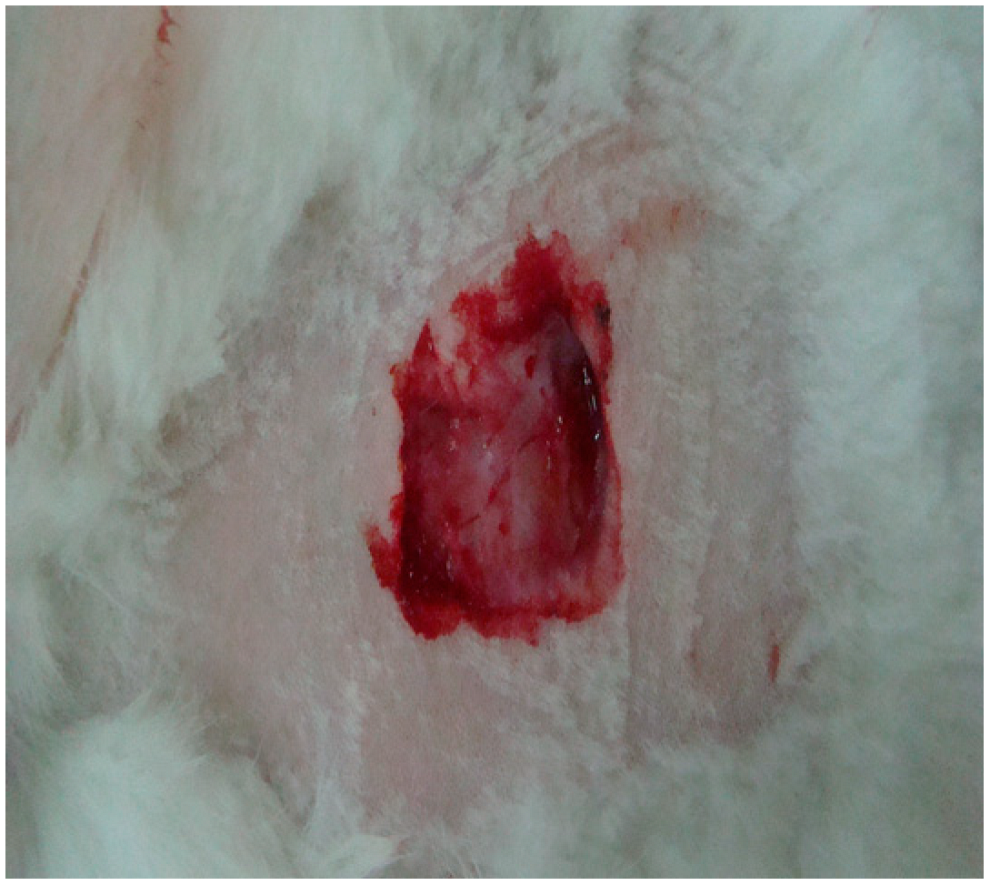 Processes 11 01692 i008