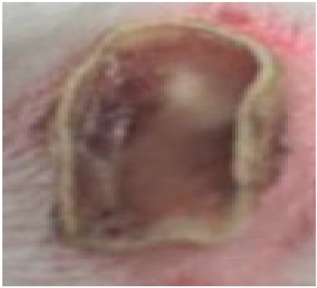 Processes 11 01692 i014