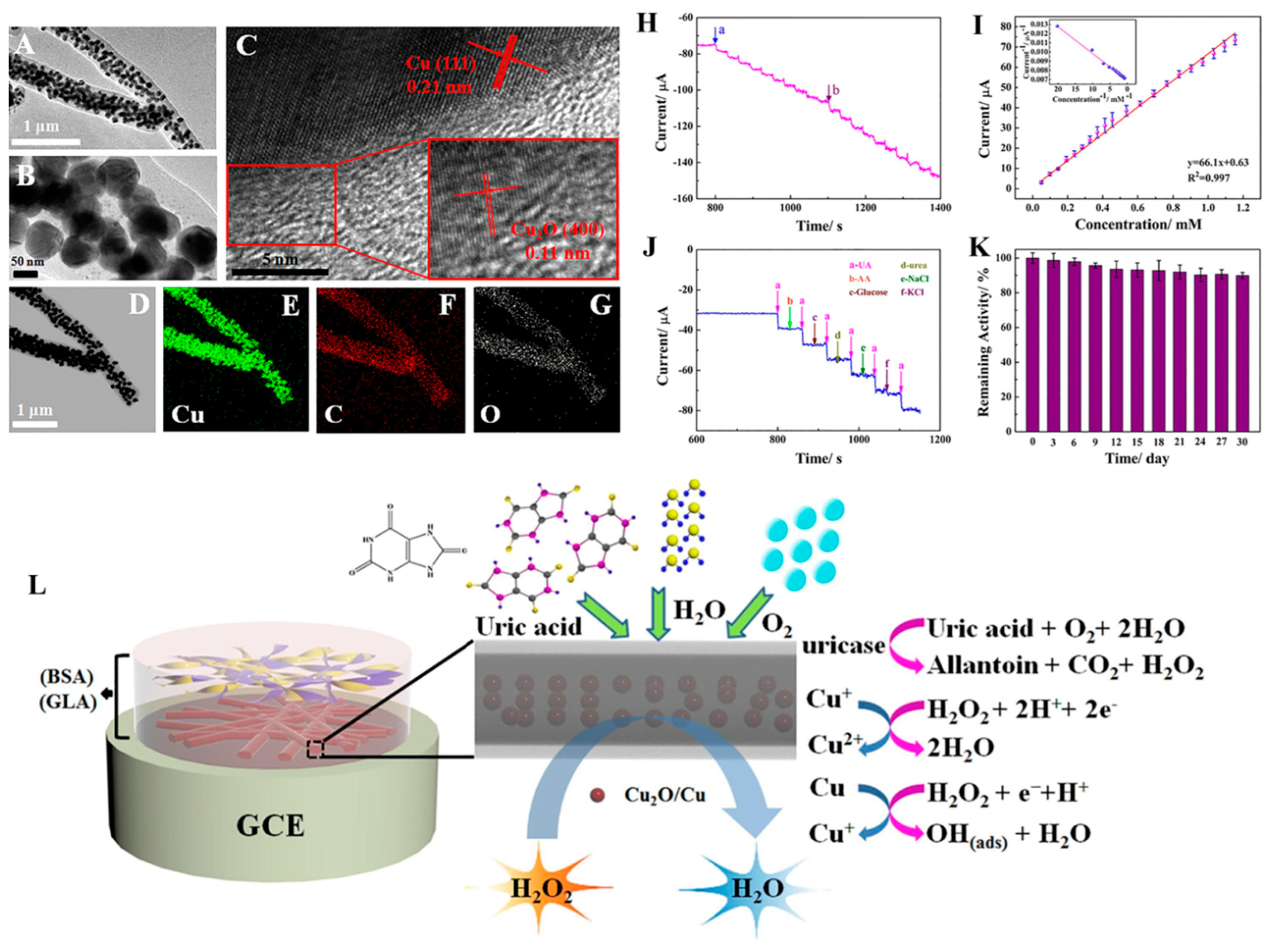 Processes 11 01739 g005 Processes 11 01739 g005