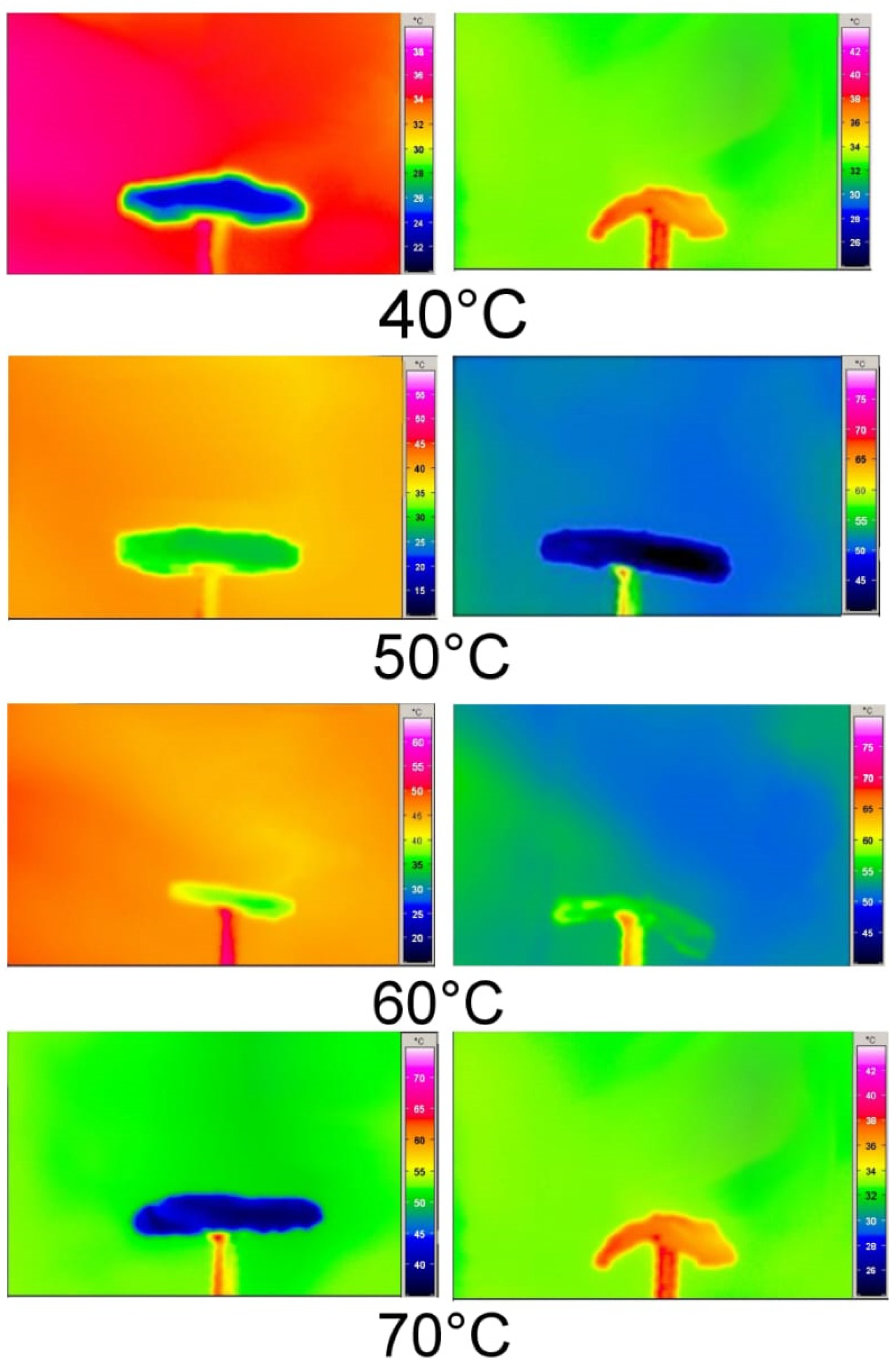 Processes 11 01771 g006