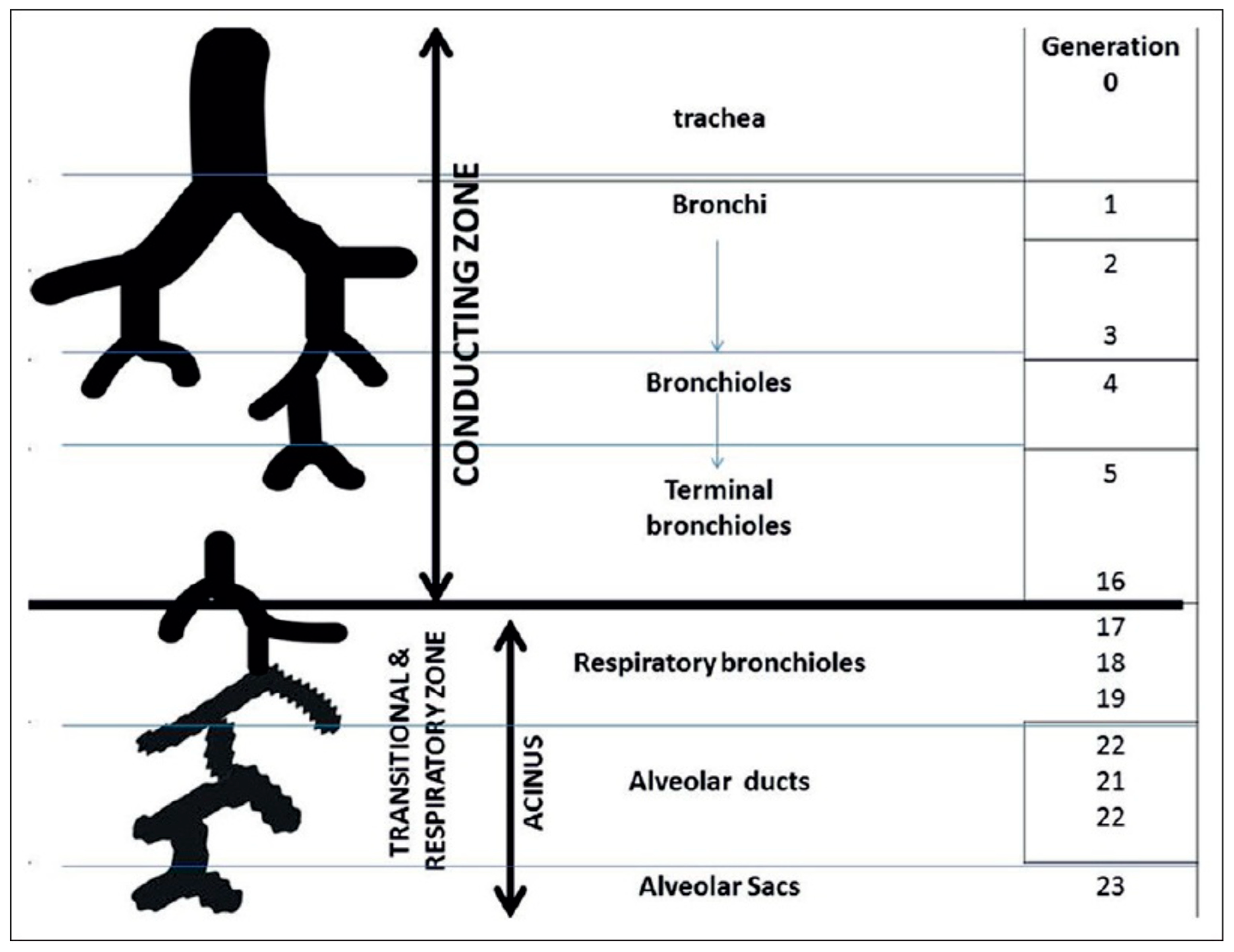 Processes 11 01788 g001 Processes 11 01788 g001
