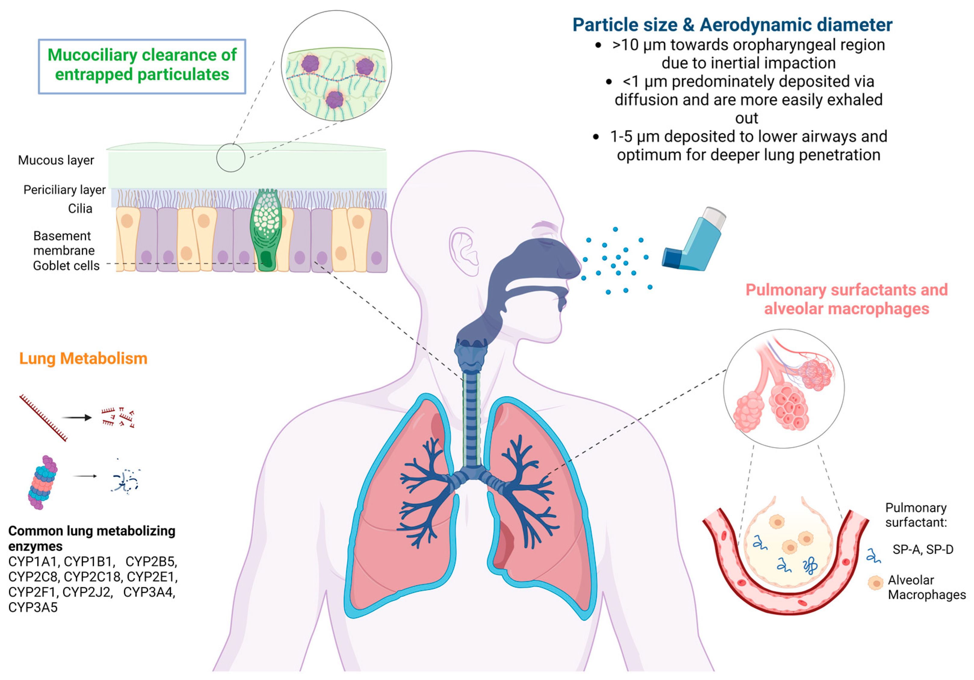 Processes 11 01788 g002 Processes 11 01788 g002