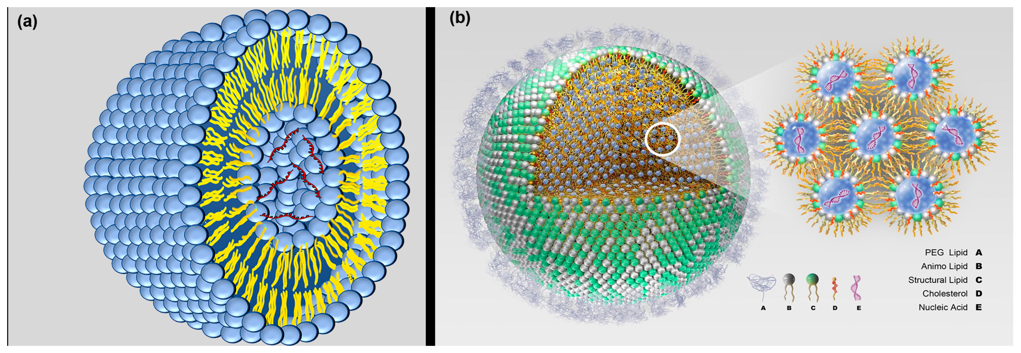 Processes 11 01788 g004 Processes 11 01788 g004