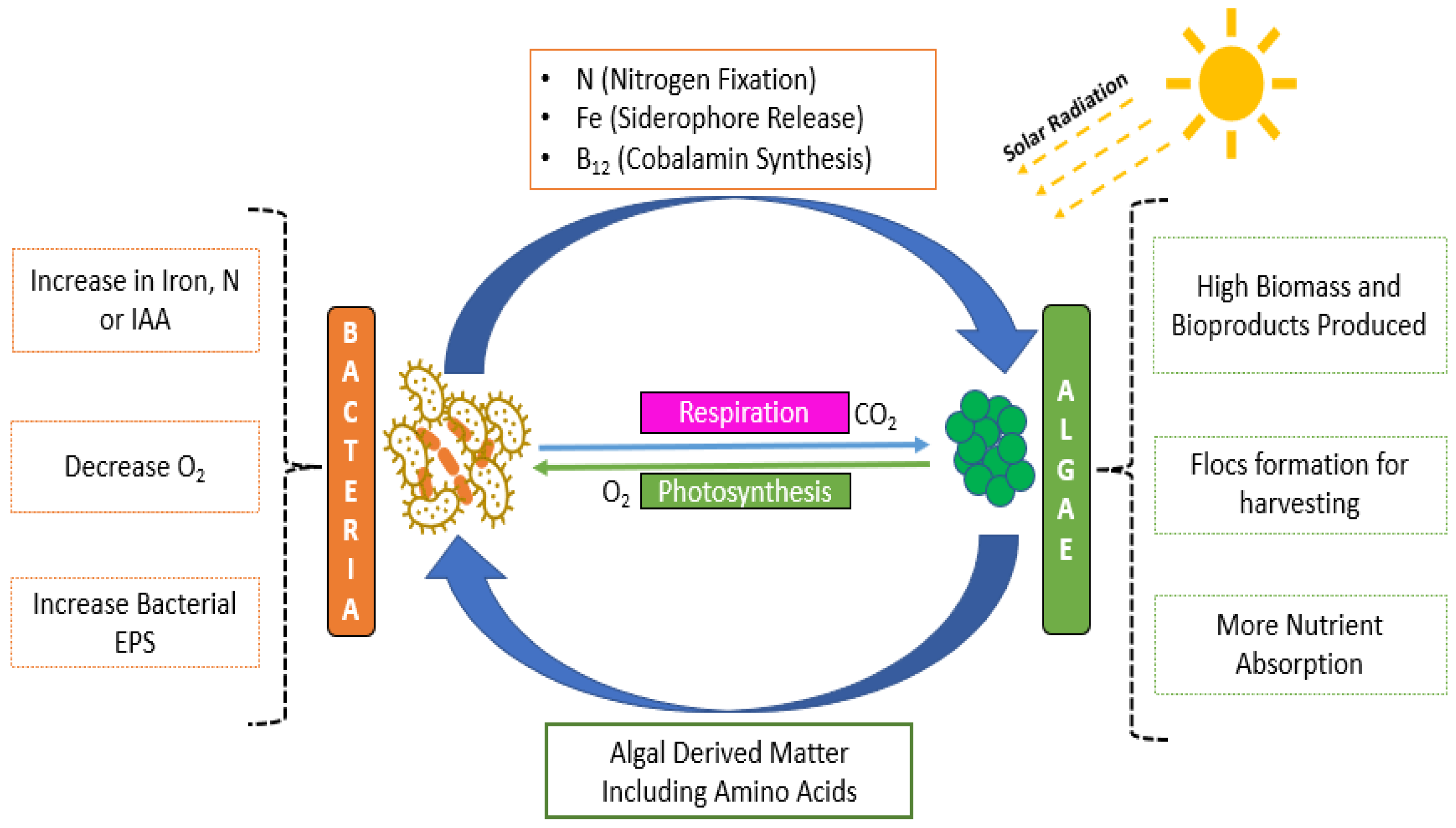 Processes 11 01793 g002