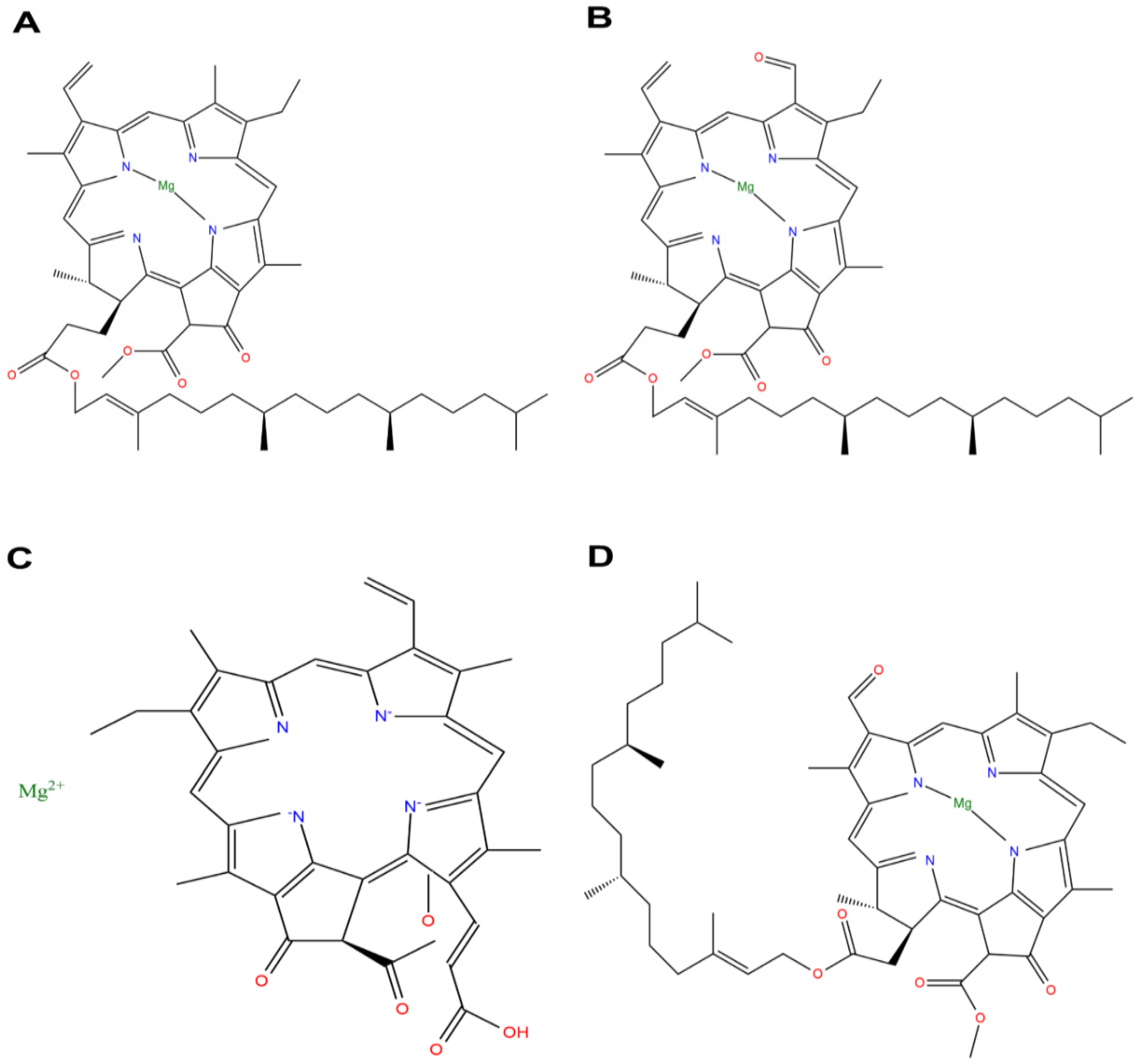 Processes 11 01793 g003