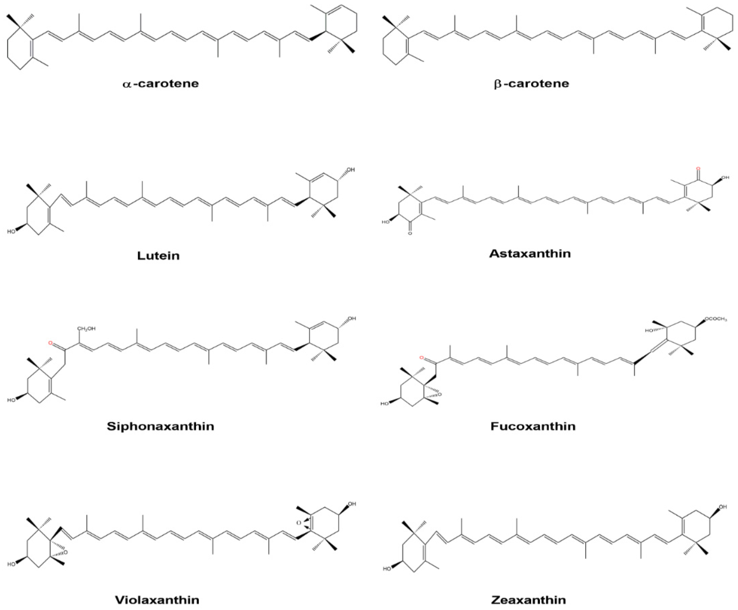 Processes 11 01793 g005