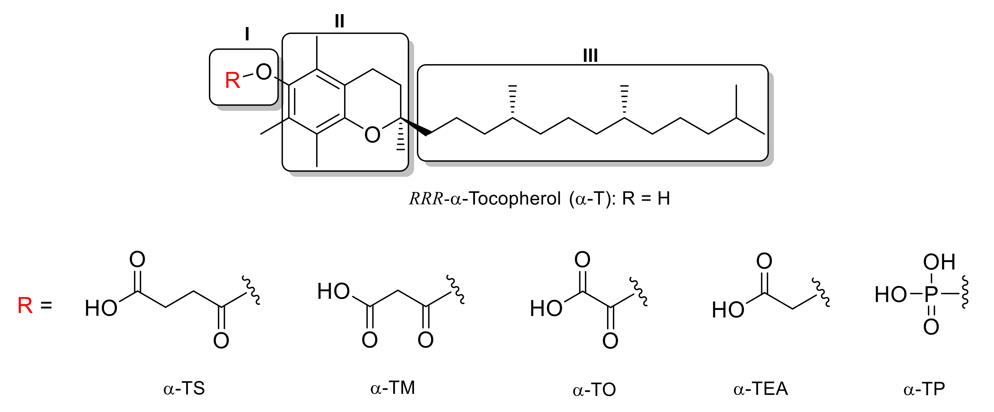 Processes 11 01860 g001