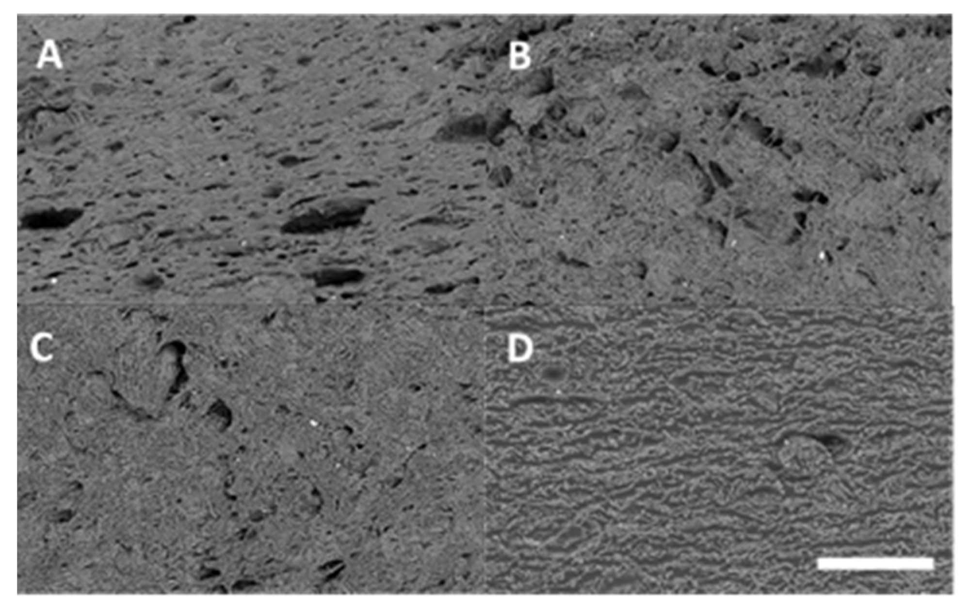 Processes 11 01871 g003 Processes 11 01871 g003