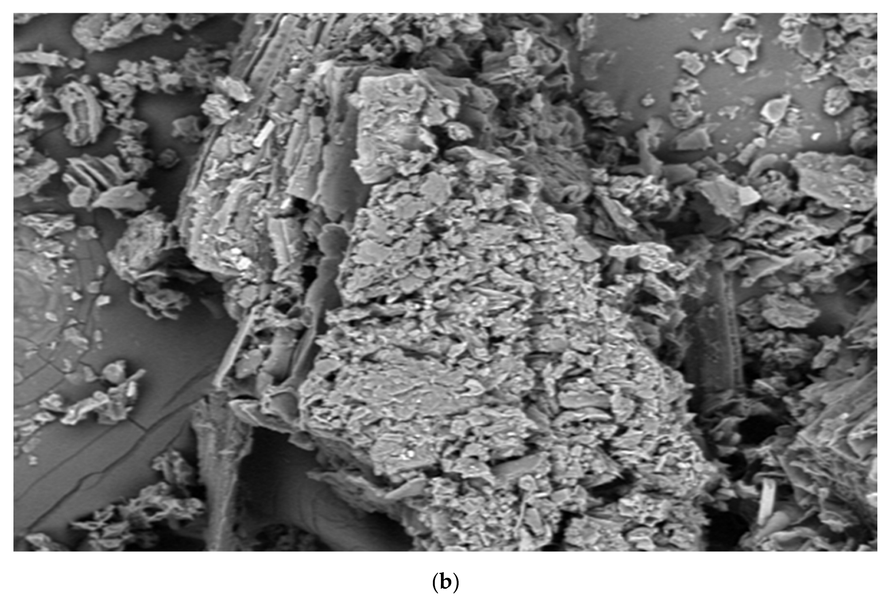 Processes 11 01877 g002b