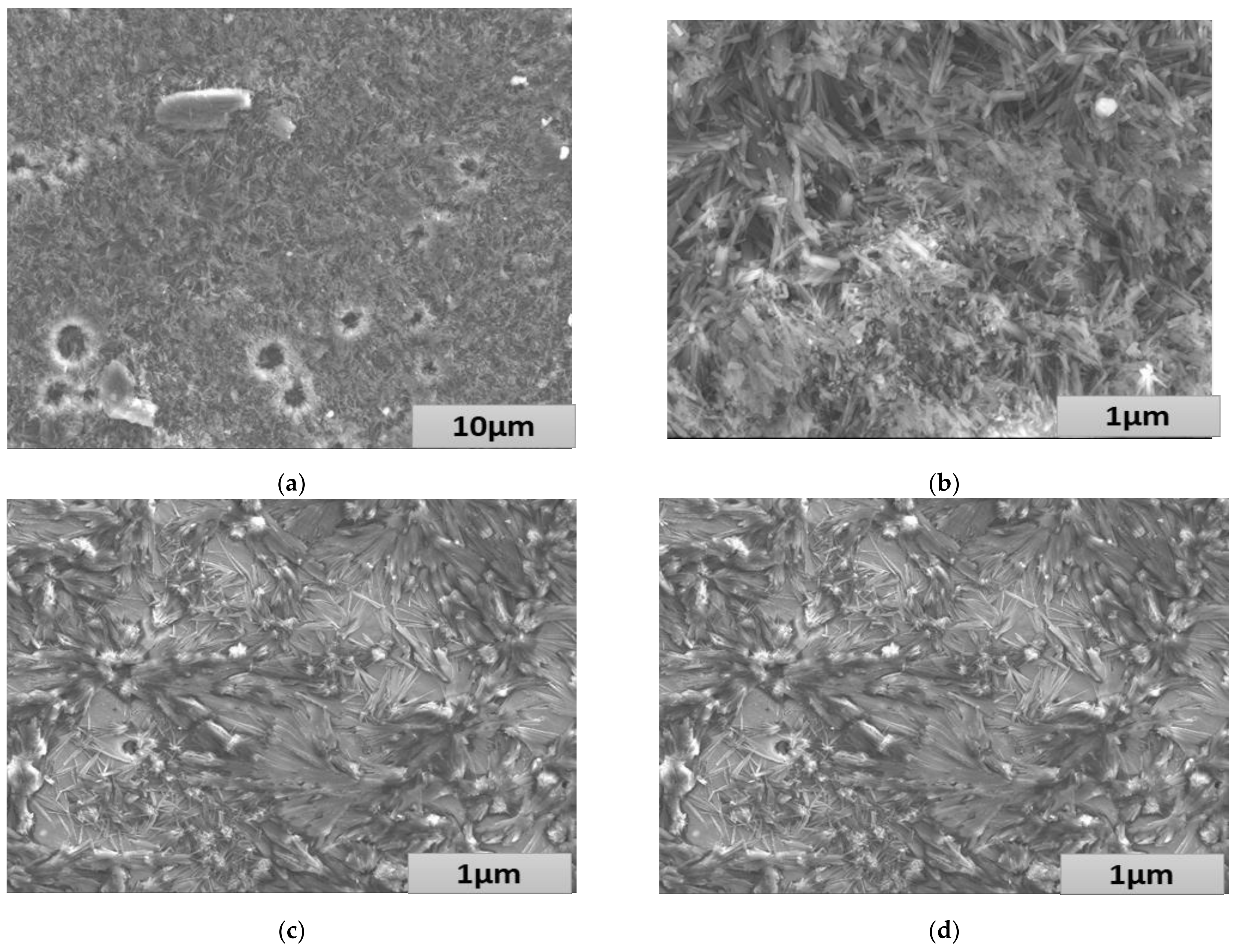 Processes 11 01884 g009