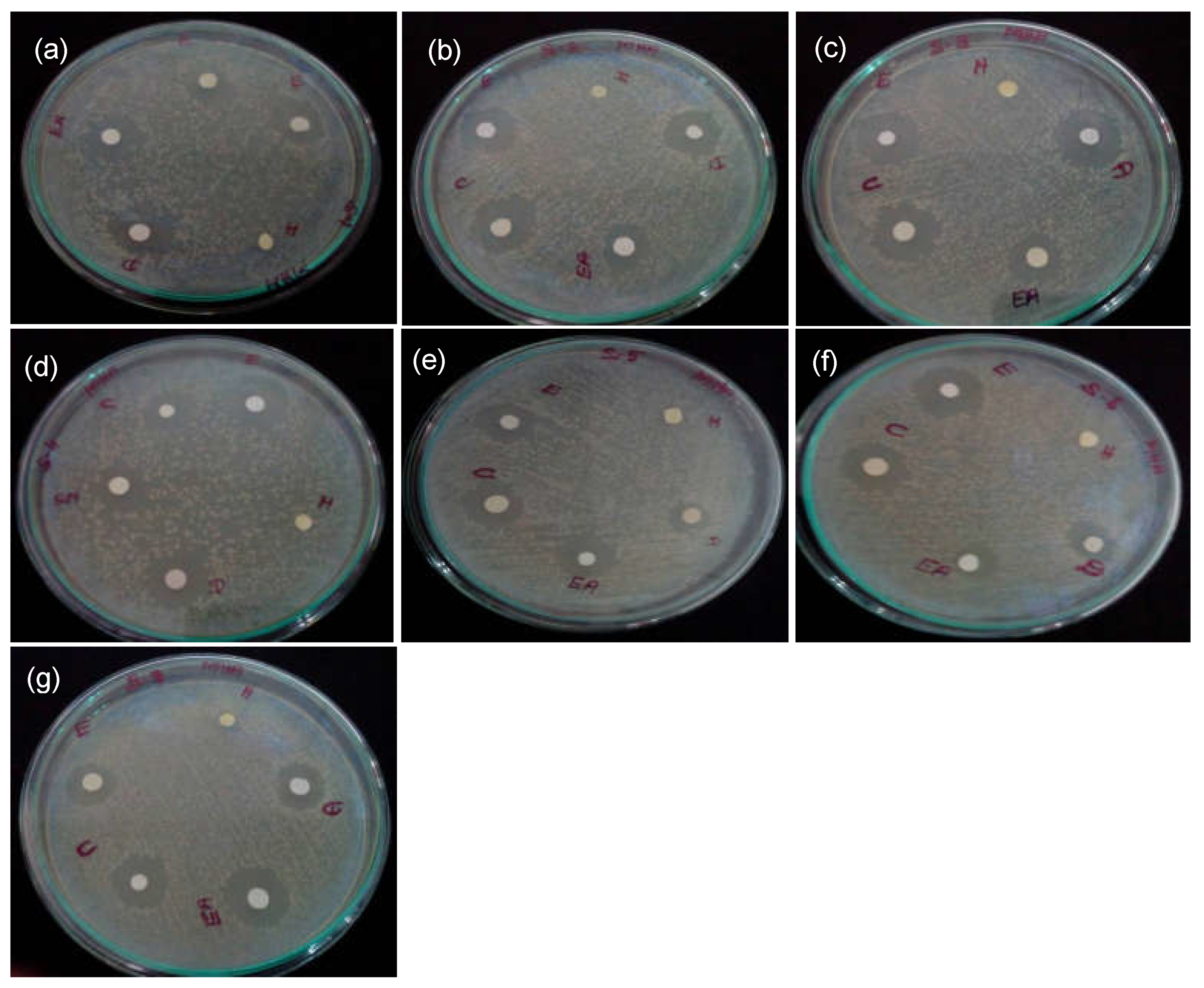Processes 11 01887 g002 Processes 11 01887 g002