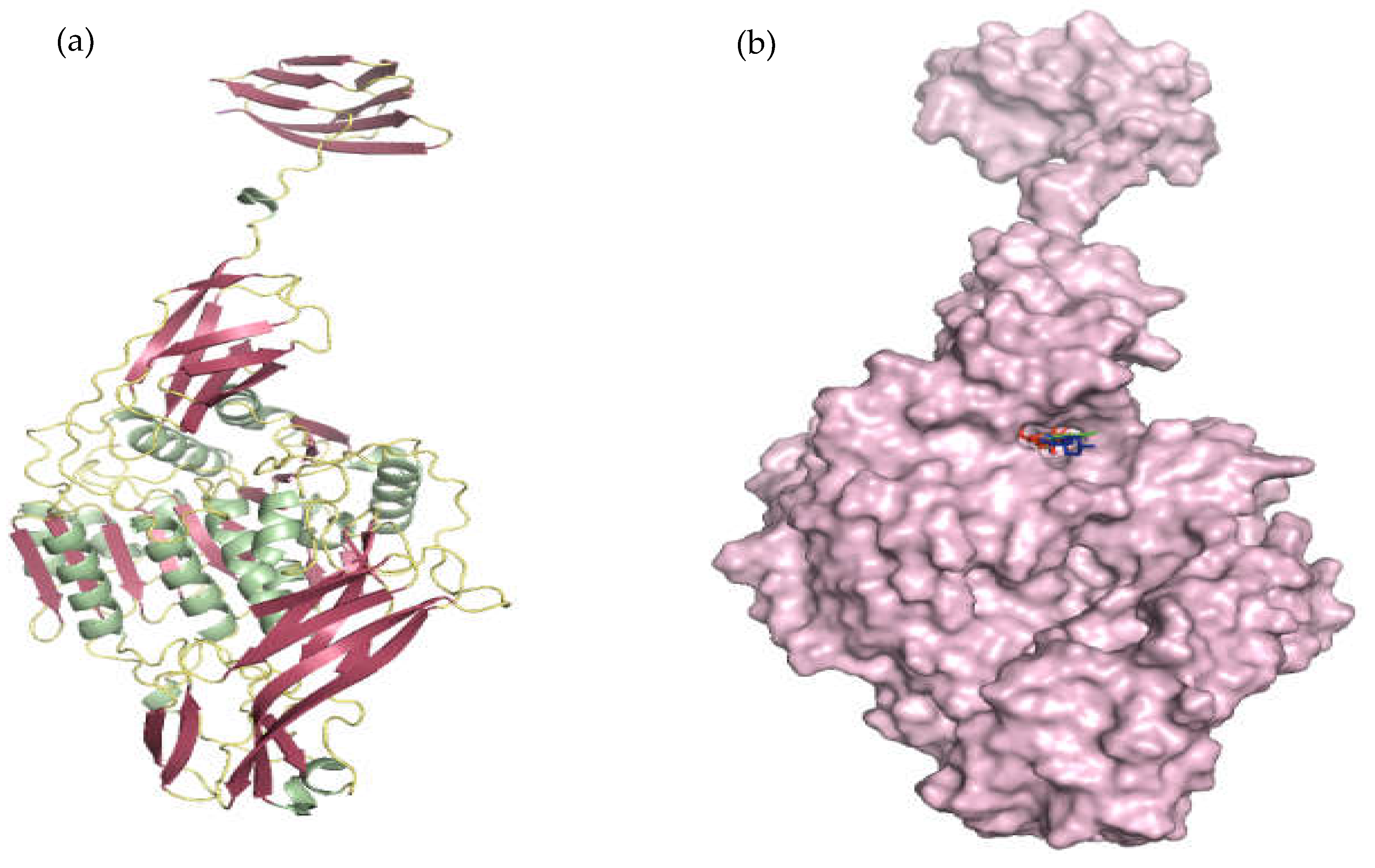 Processes 11 01887 g005 Processes 11 01887 g005