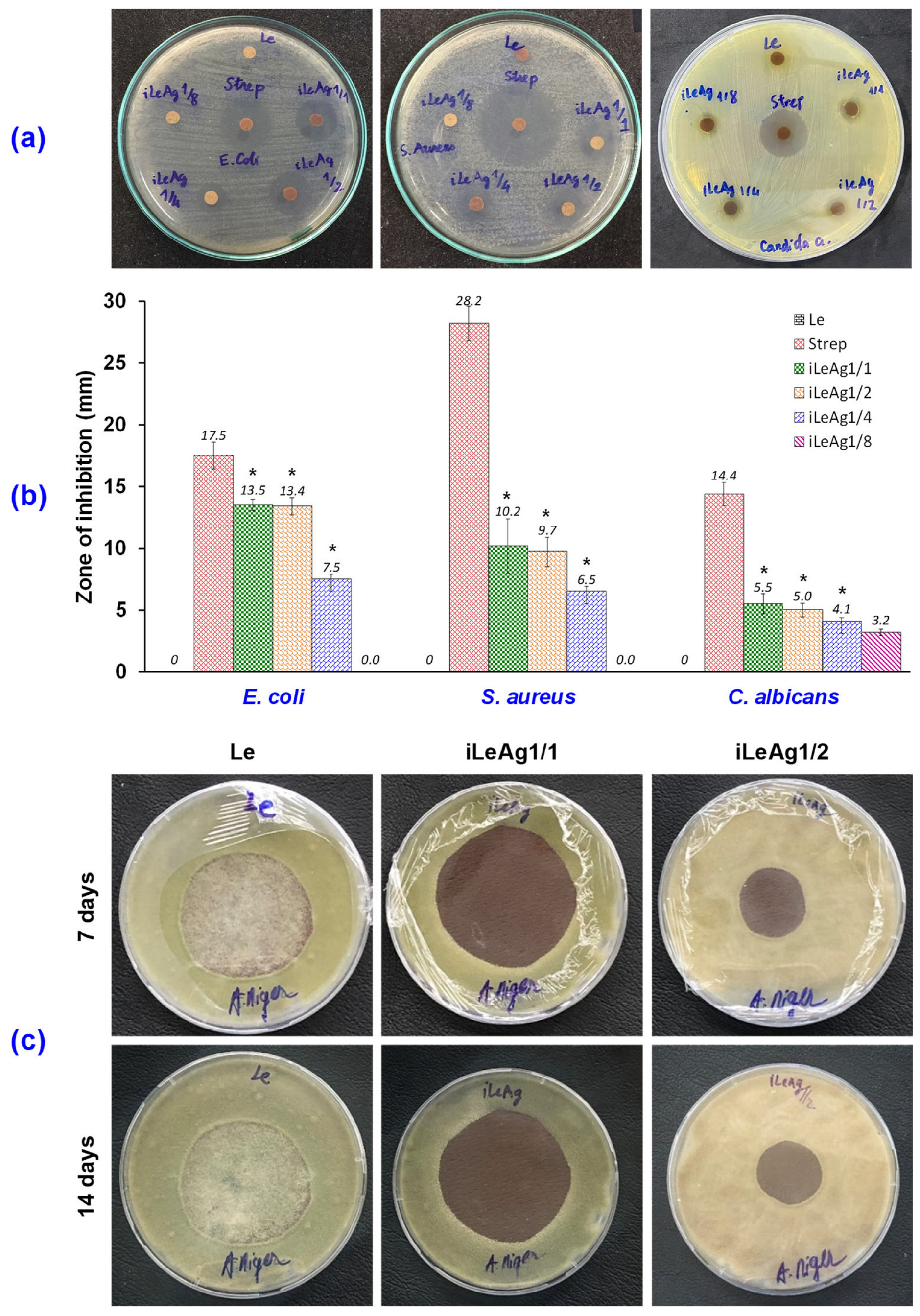 Processes 11 01891 g002