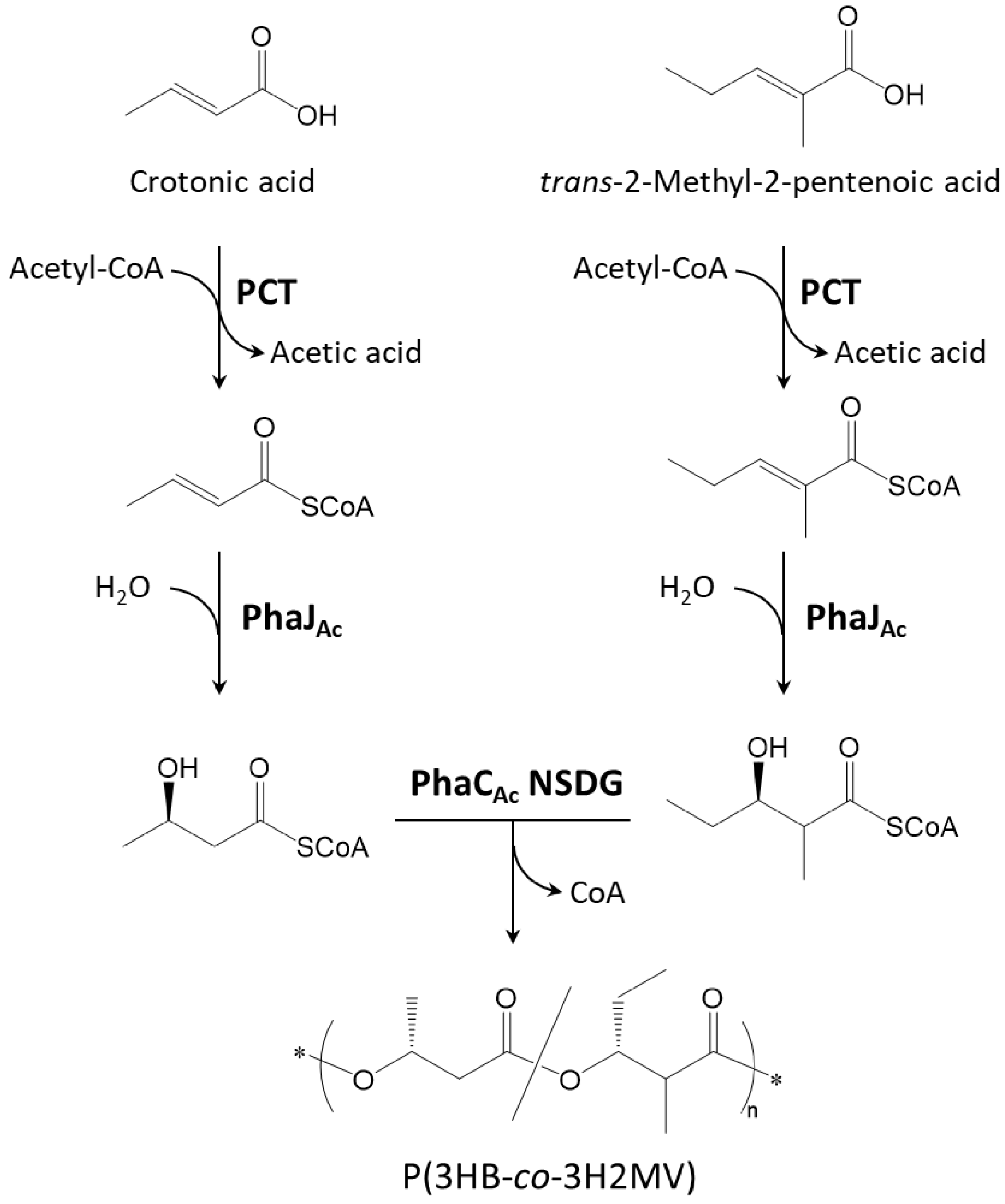 Processes 11 01901 g002 Processes 11 01901 g002