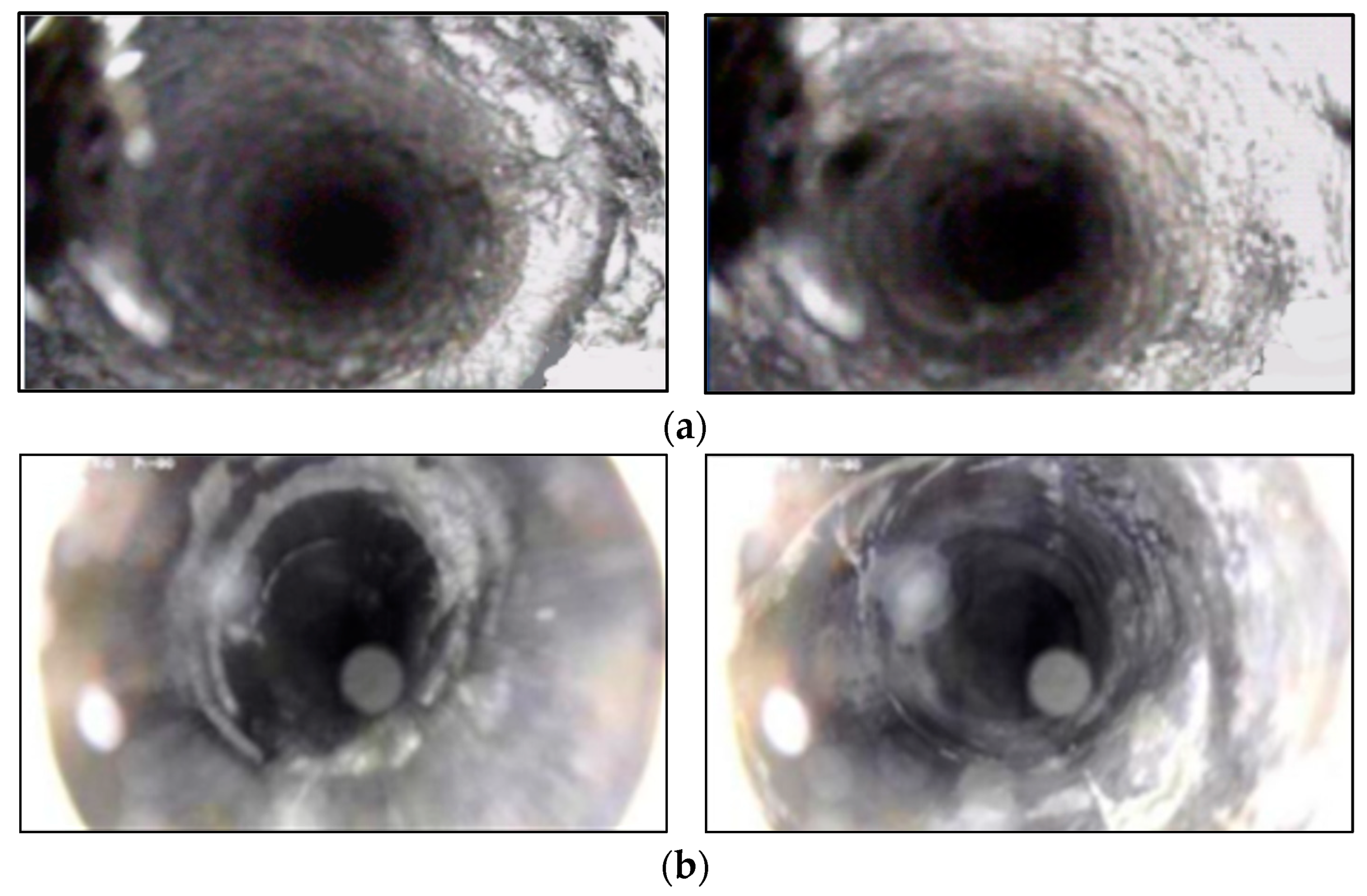 Processes 11 01906 g011
