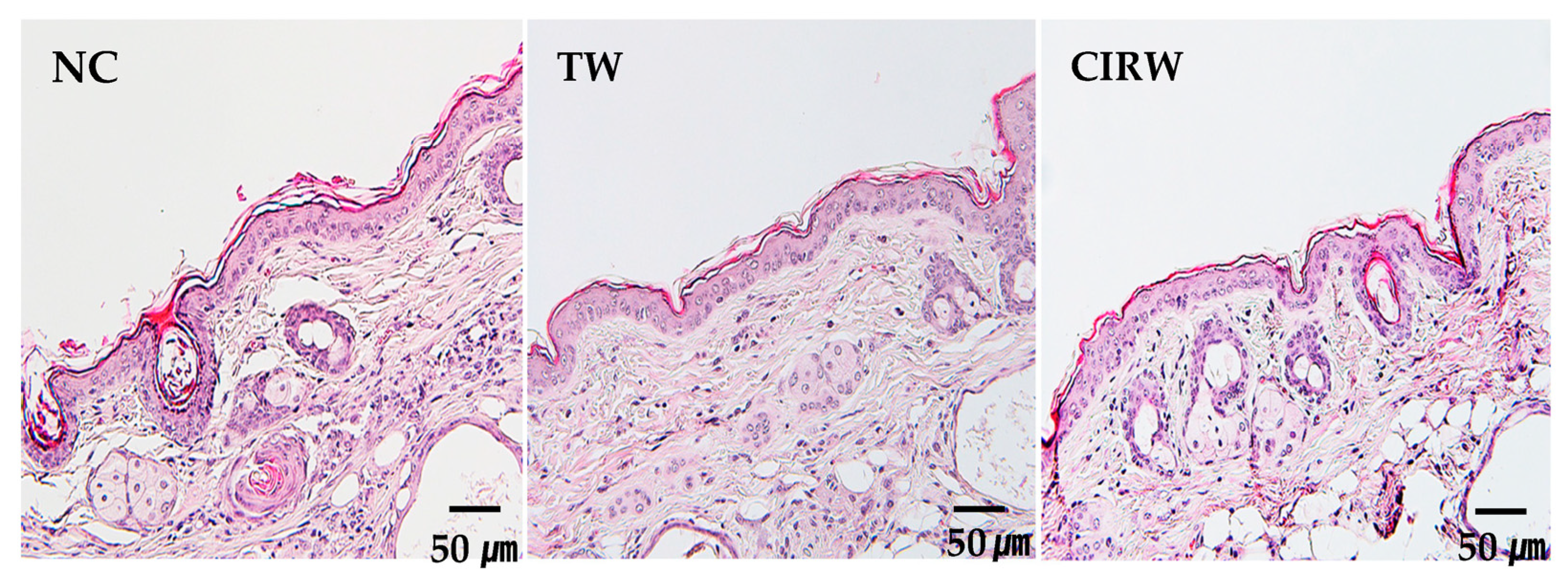 Processes 11 01914 g002