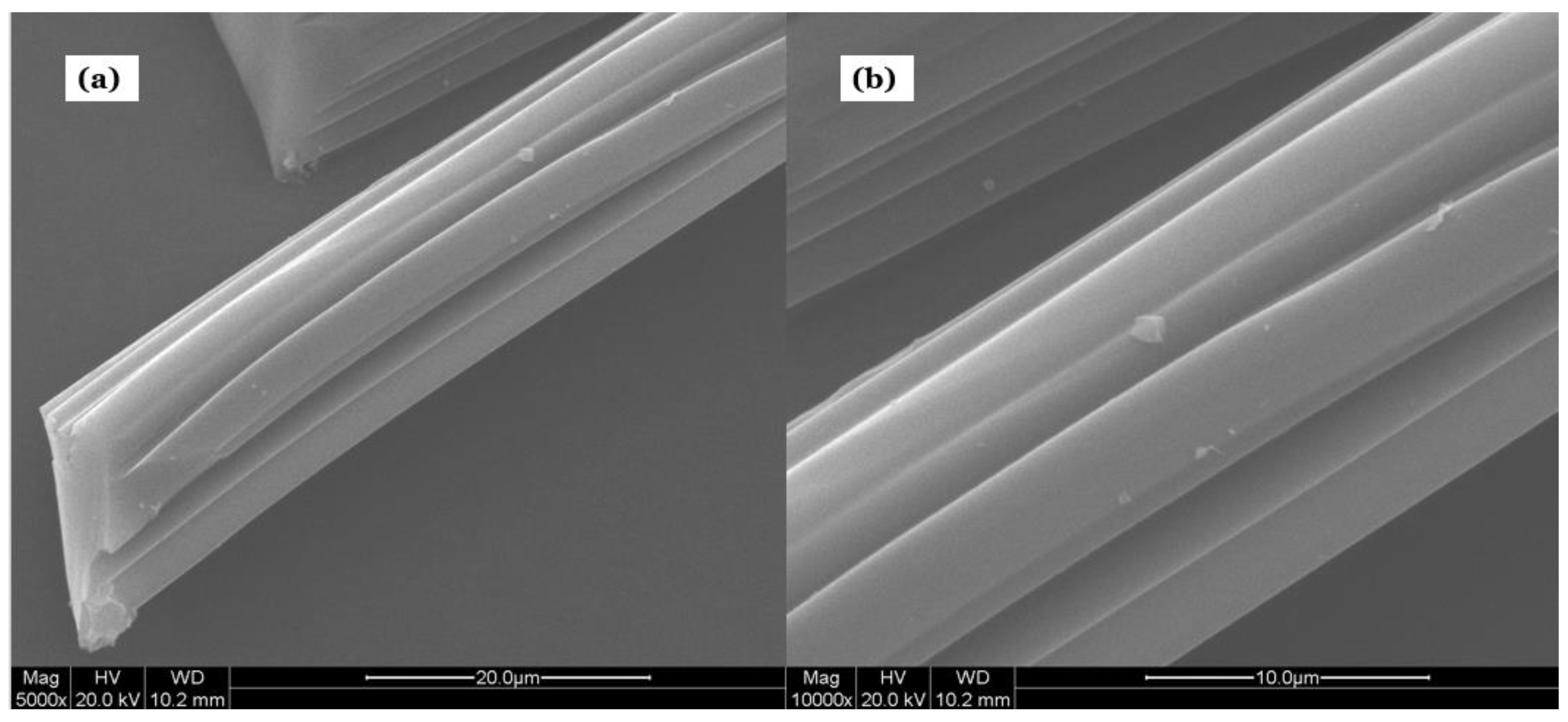 Processes 11 01932 g002