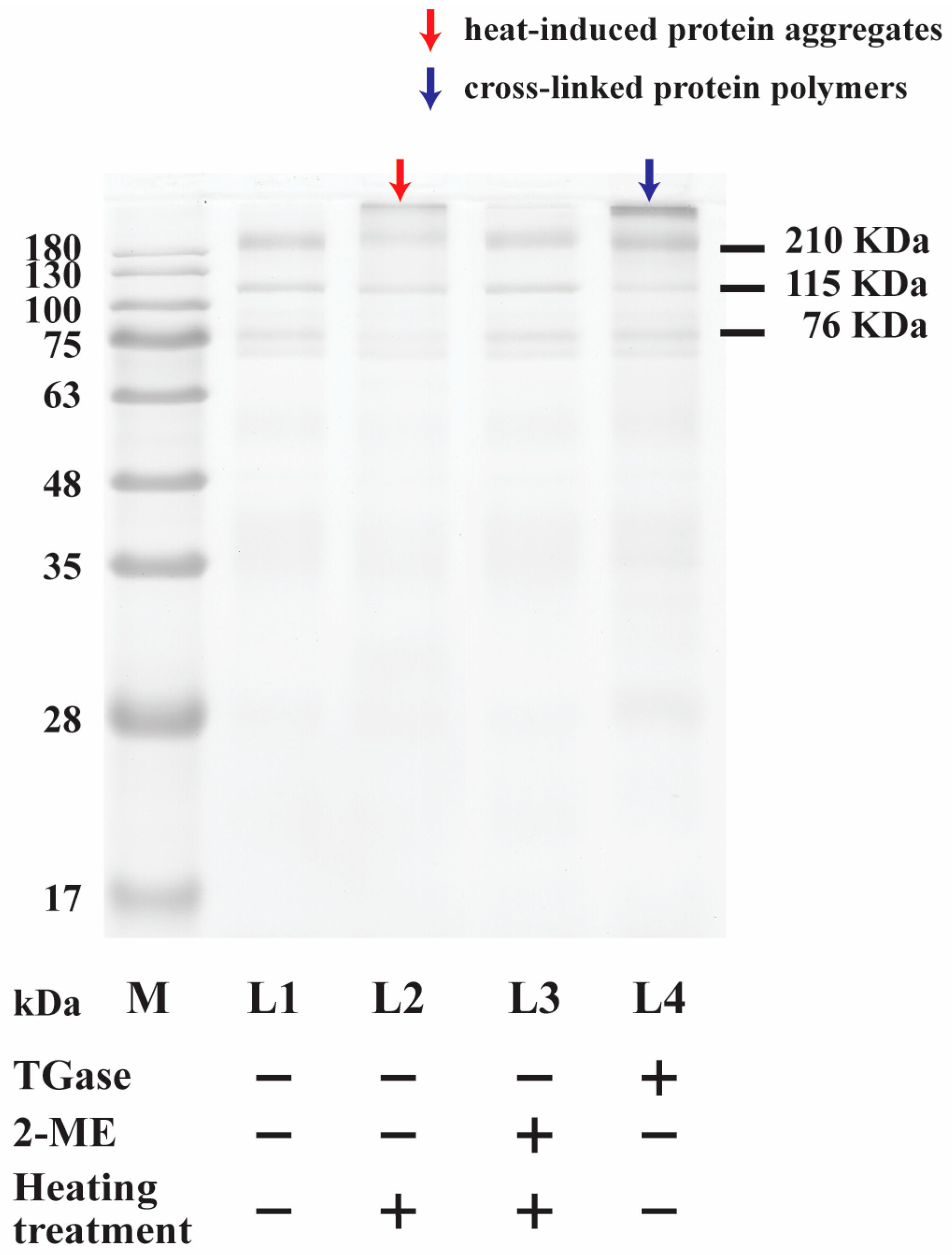 Processes 11 01941 g001