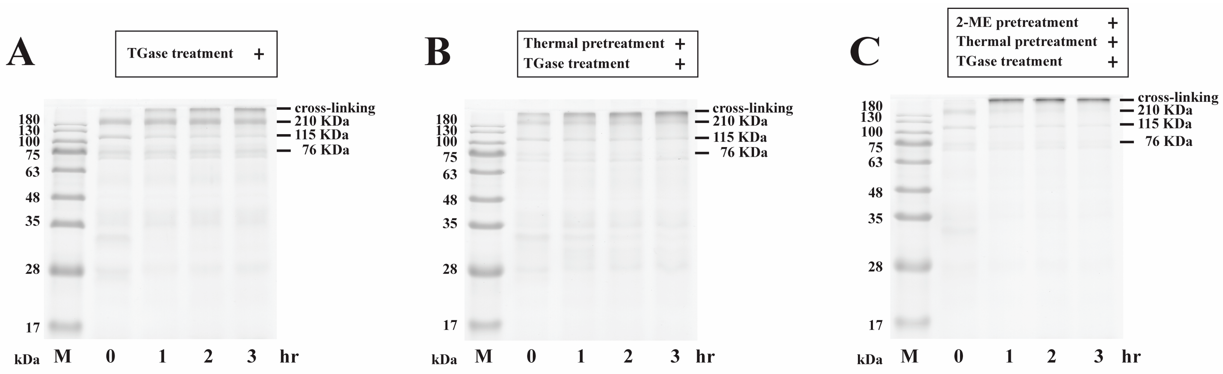 Processes 11 01941 g002