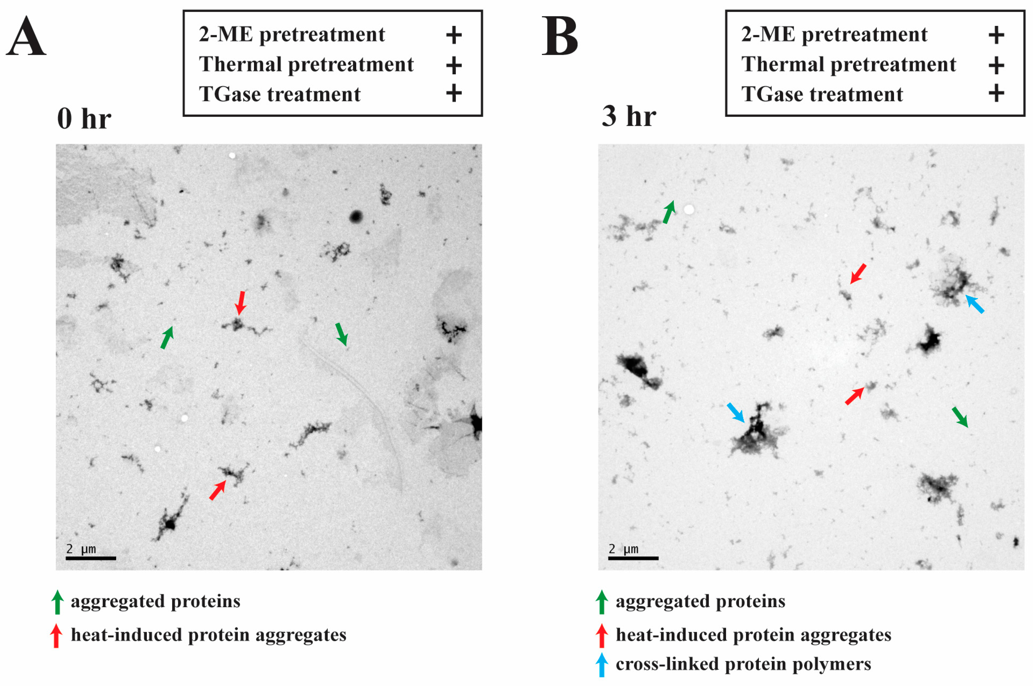 Processes 11 01941 g005