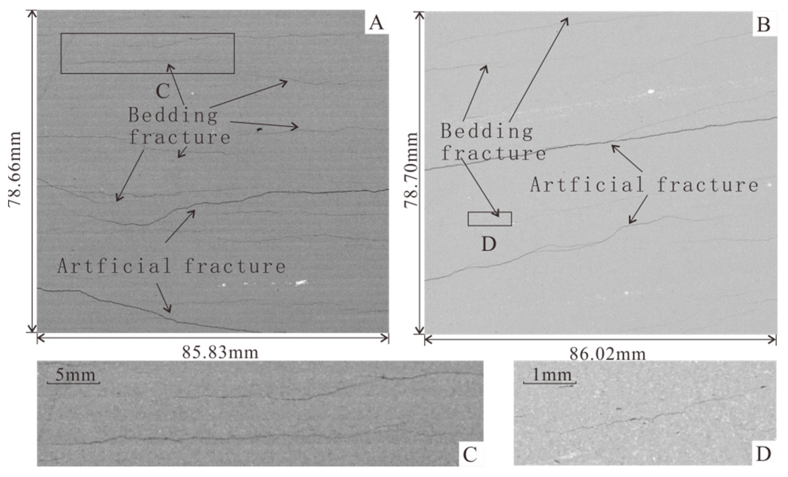 Processes 11 01942 g005 Processes 11 01942 g005
