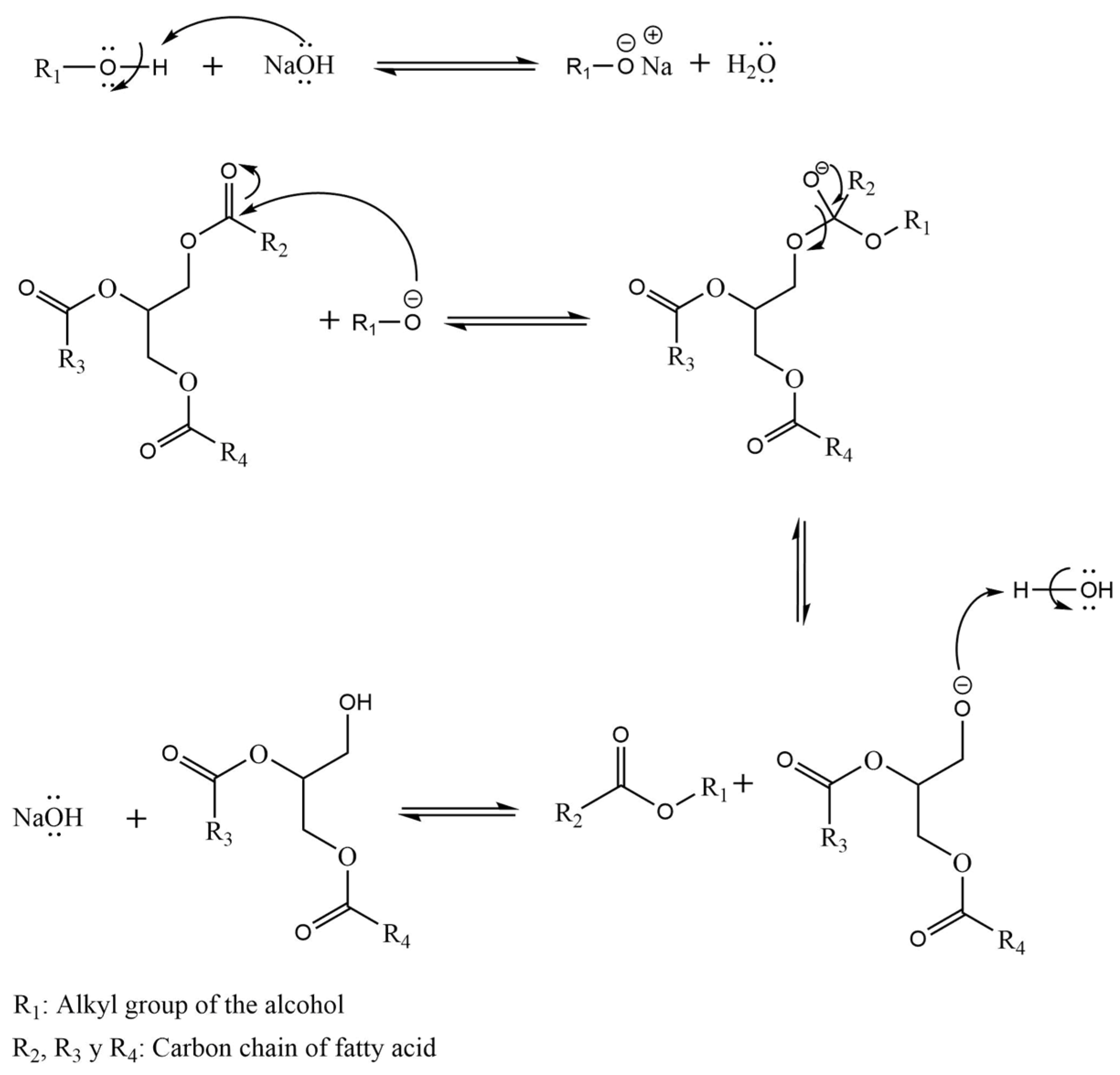 Processes 11 01952 sch004