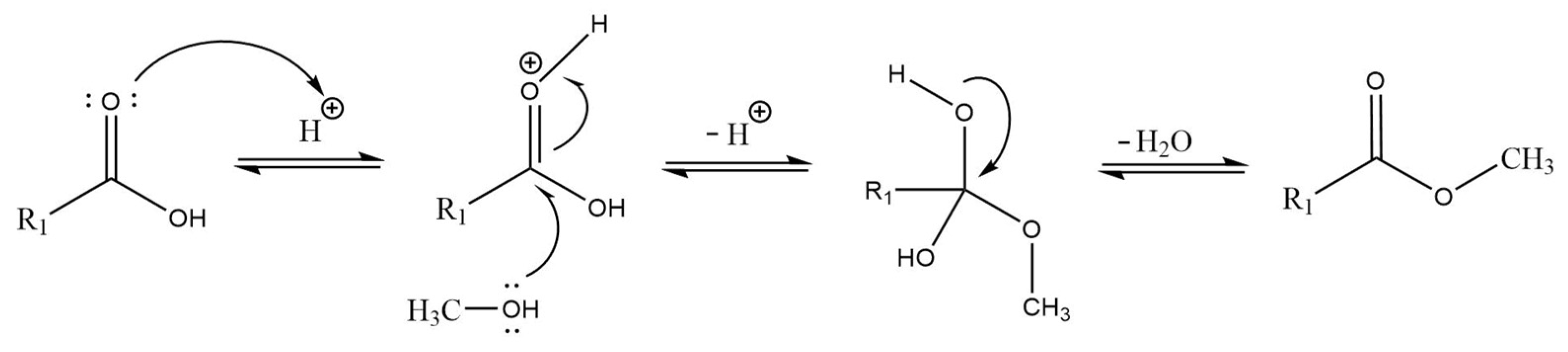 Processes 11 01952 sch006