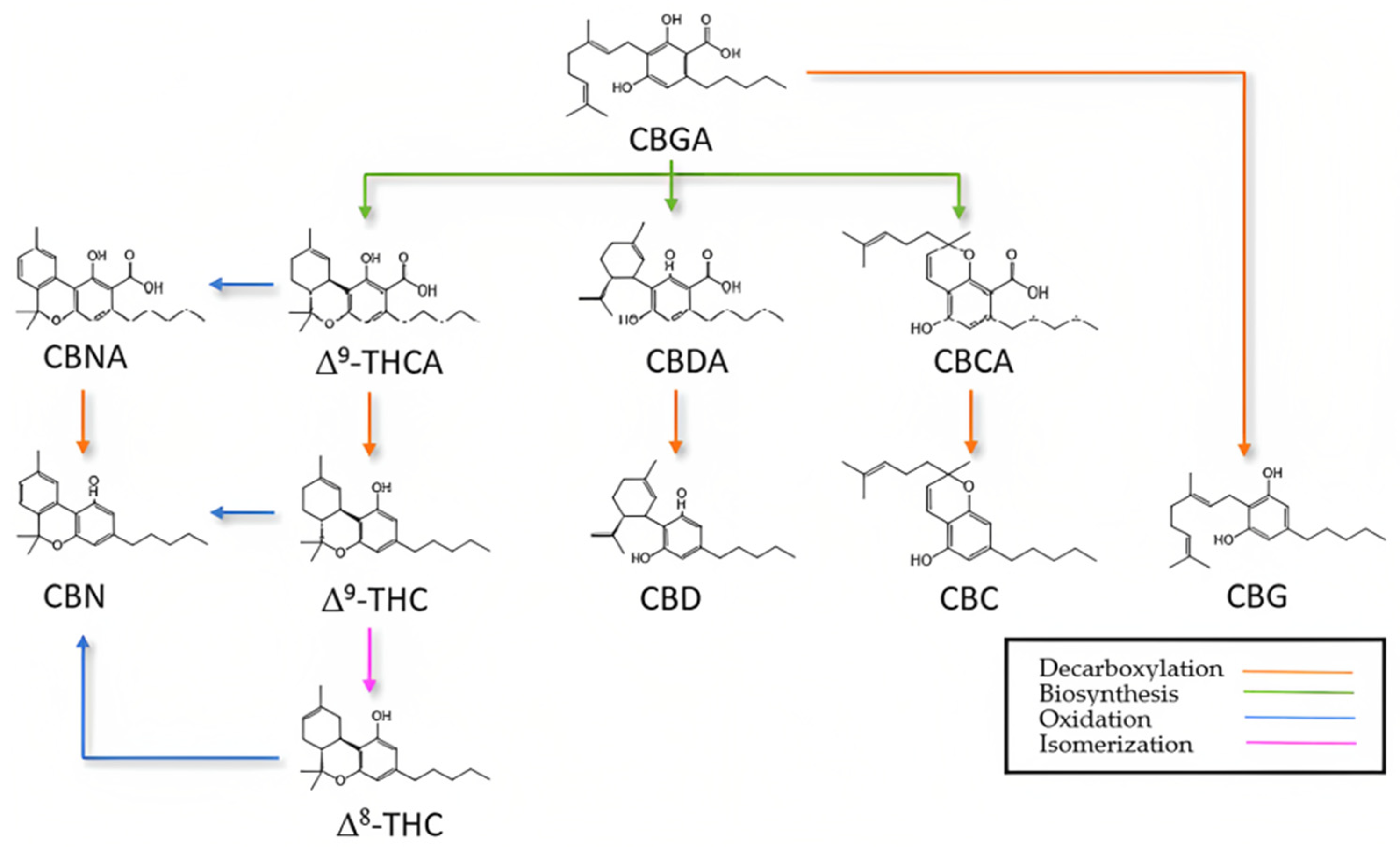 Processes 11 01953 g002 Processes 11 01953 g002