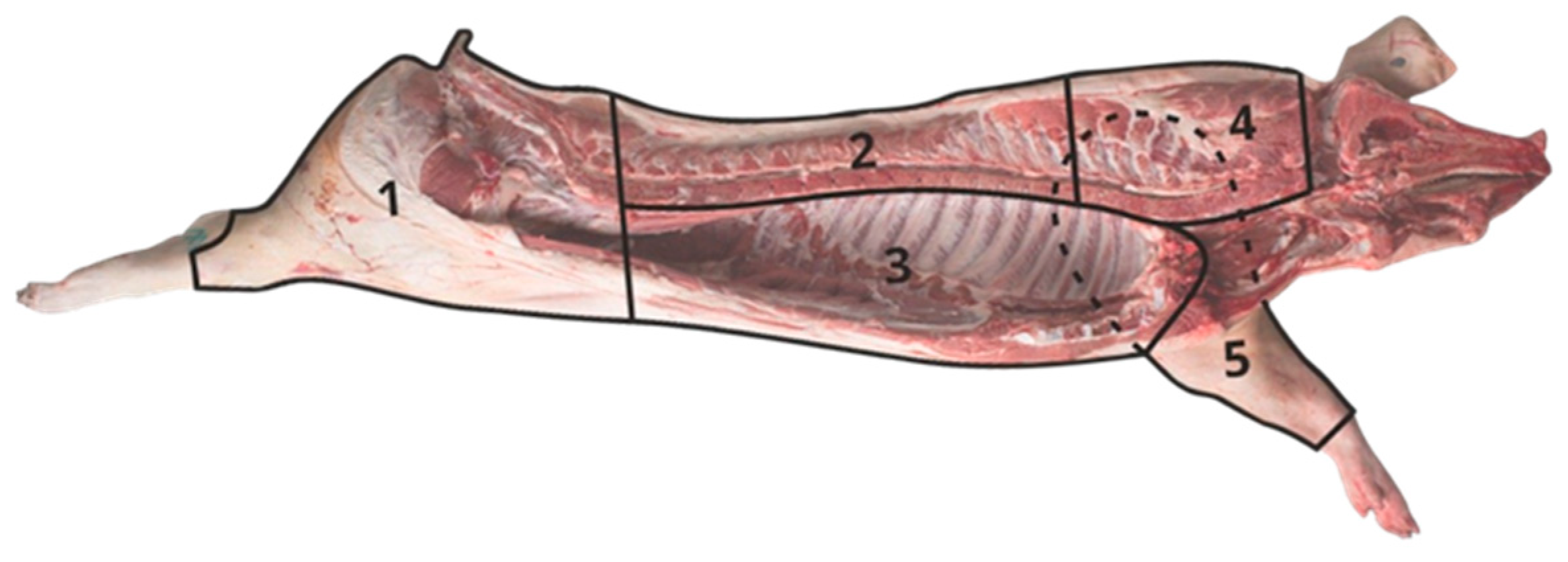 Processes 11 01961 g001