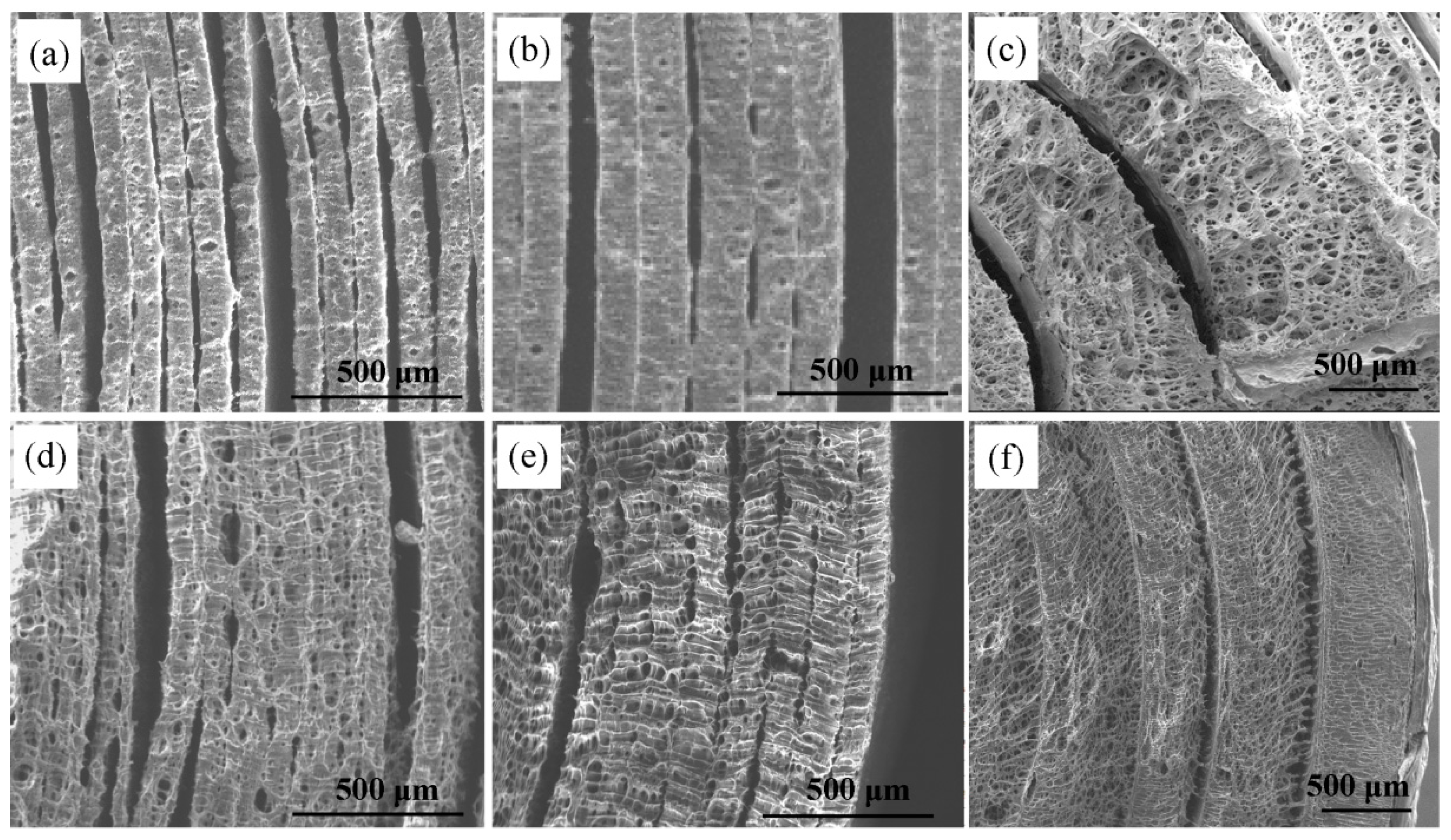 Processes 11 01975 g004