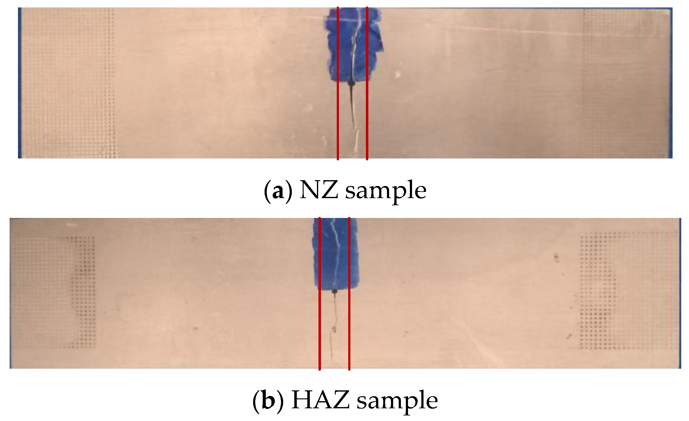 Processes 11 01984 g003