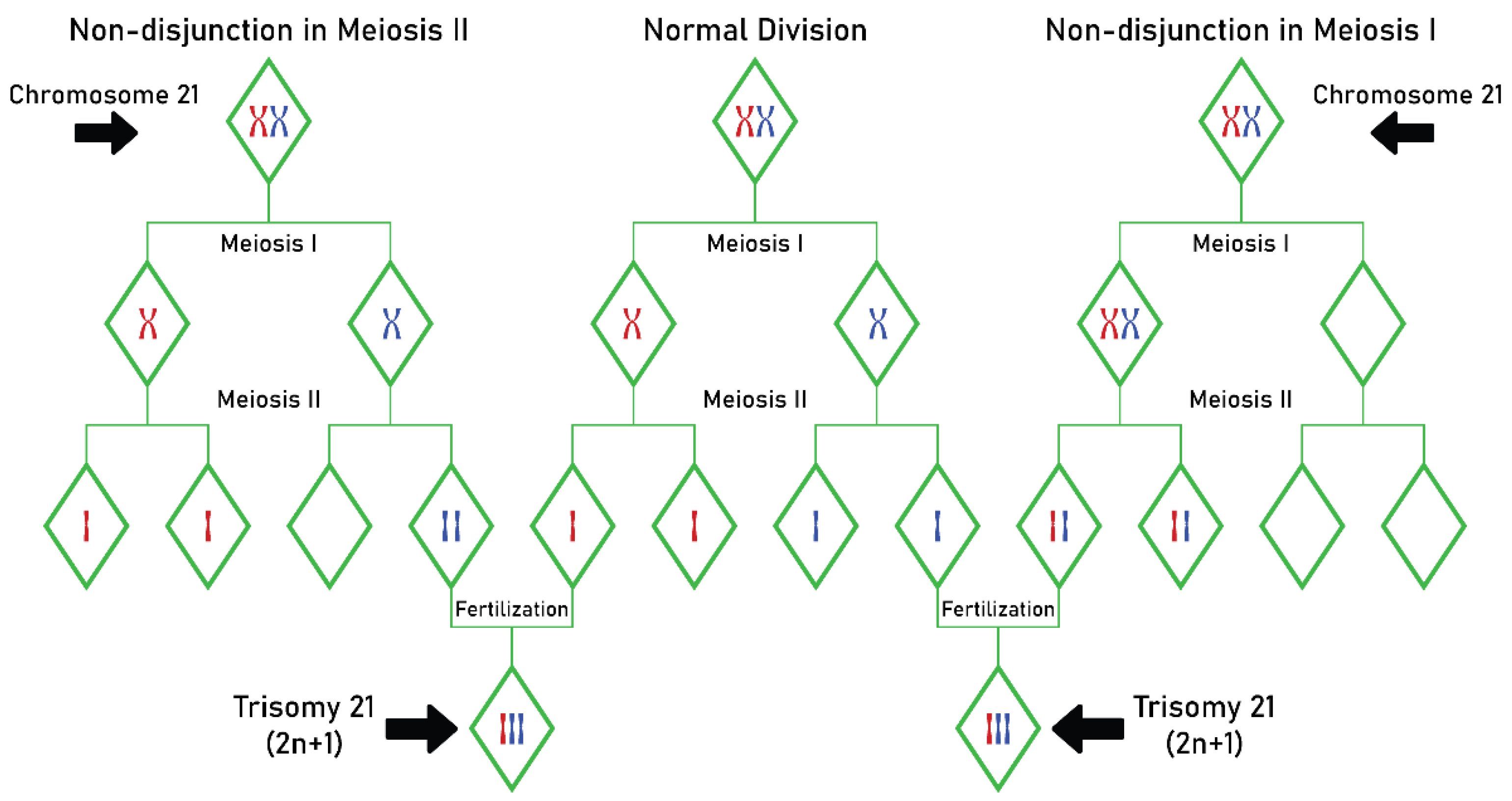Processes 11 01994 g001 Processes 11 01994 g001