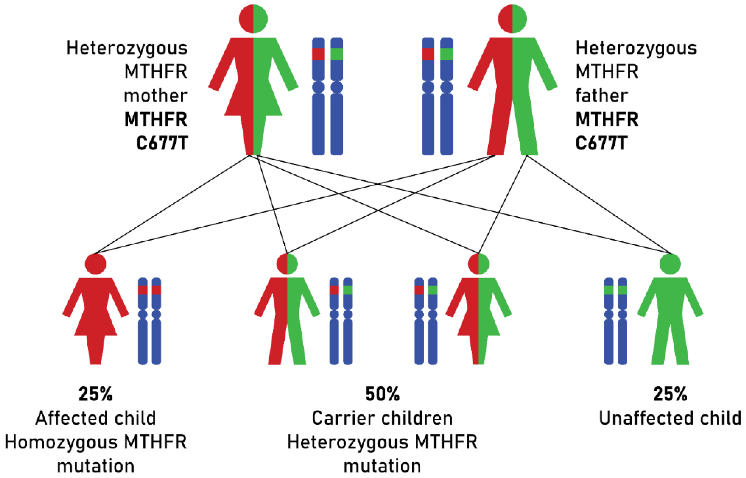 Processes 11 01994 g002 Processes 11 01994 g002