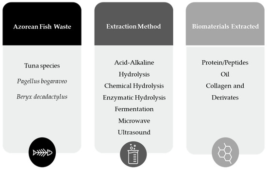 Diving into Fish Valorisation: Review Opportunities and Analyzing ...