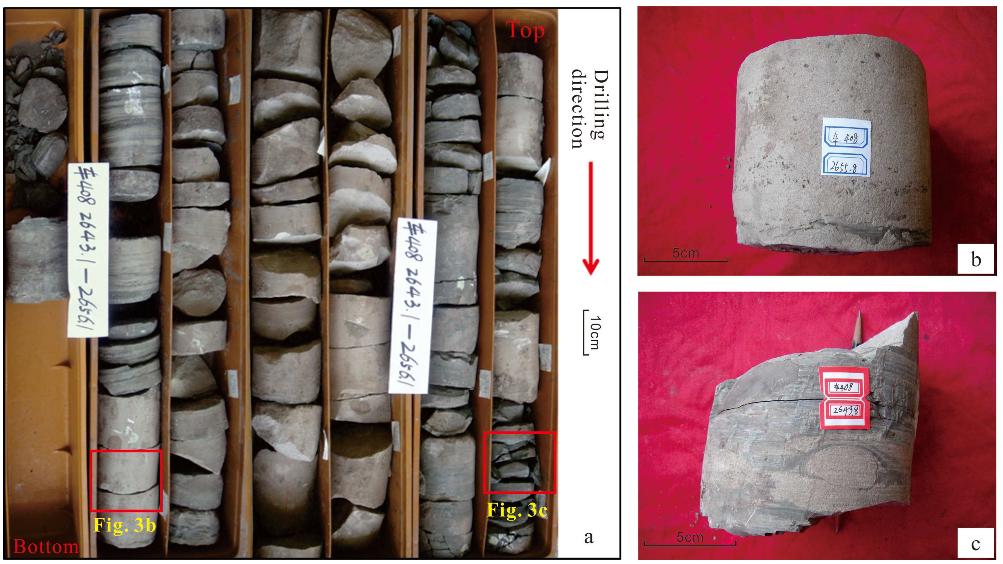 Processes 11 02001 g003 Processes 11 02001 g003