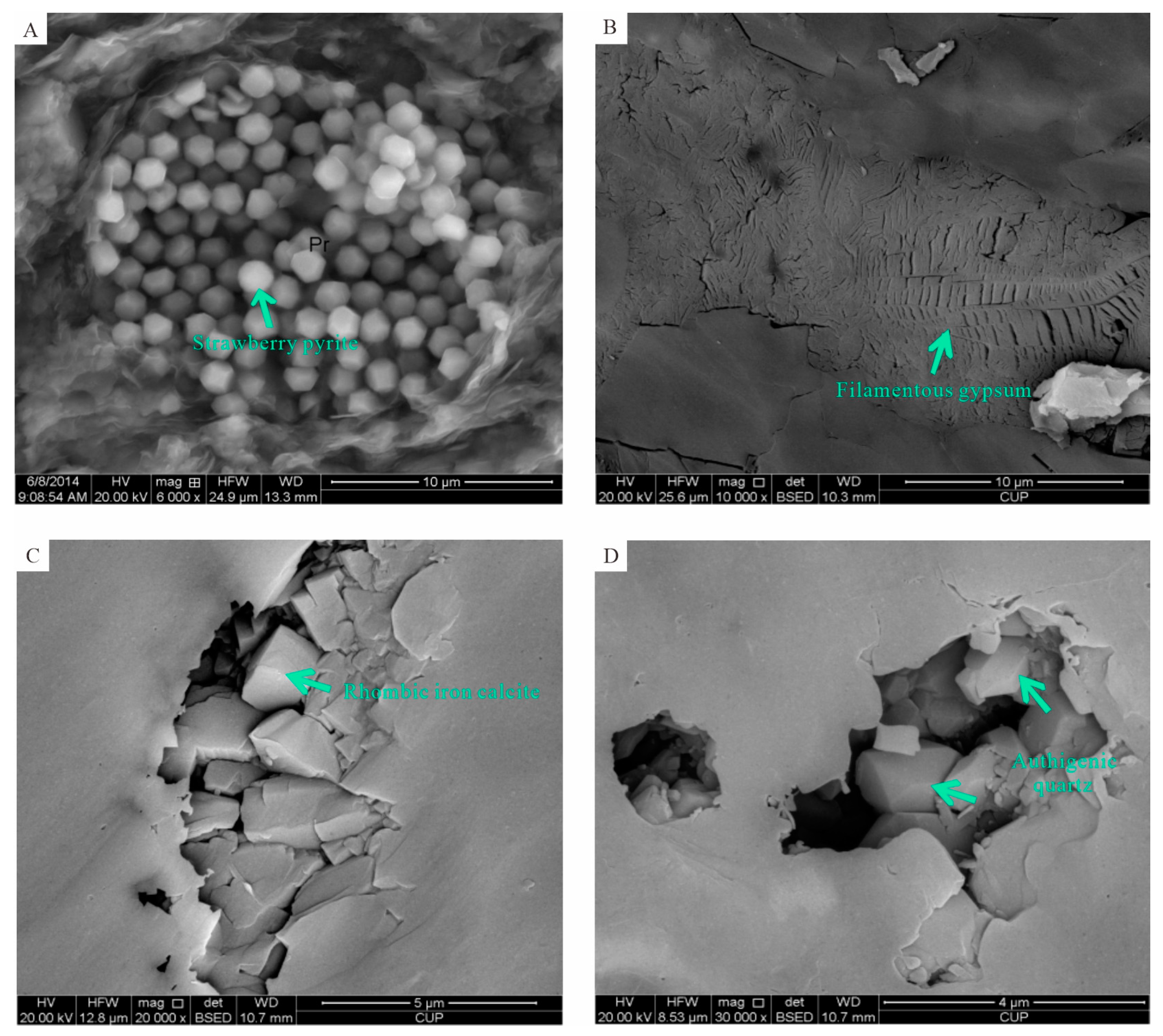 Processes 11 02009 g006 Processes 11 02009 g006